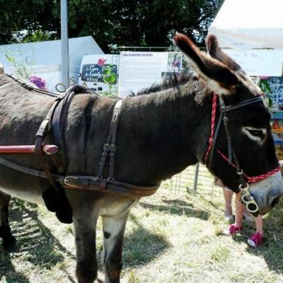 Fête des battages 2015