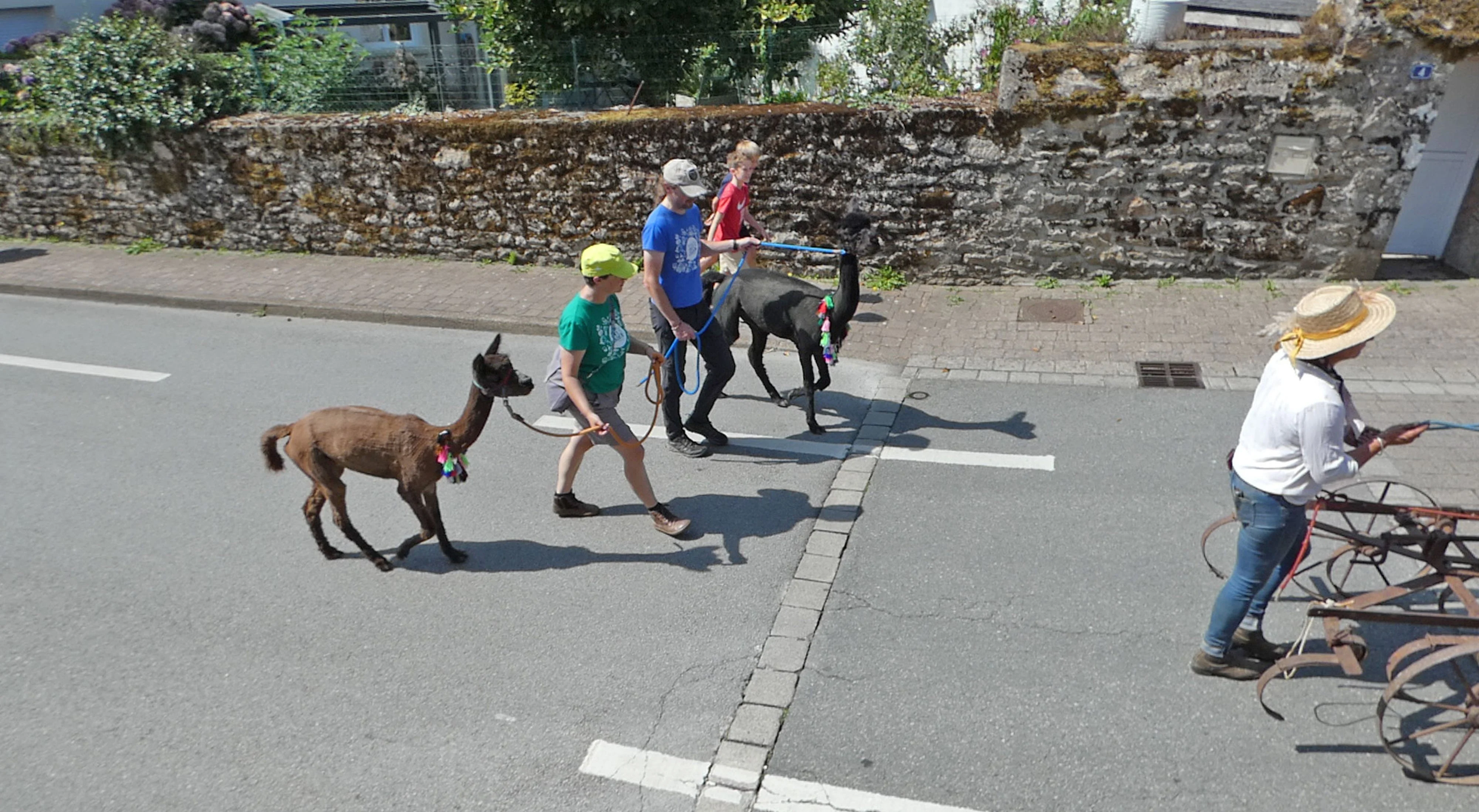 102 fete des battages 3 aout 2025 defile des animaux
