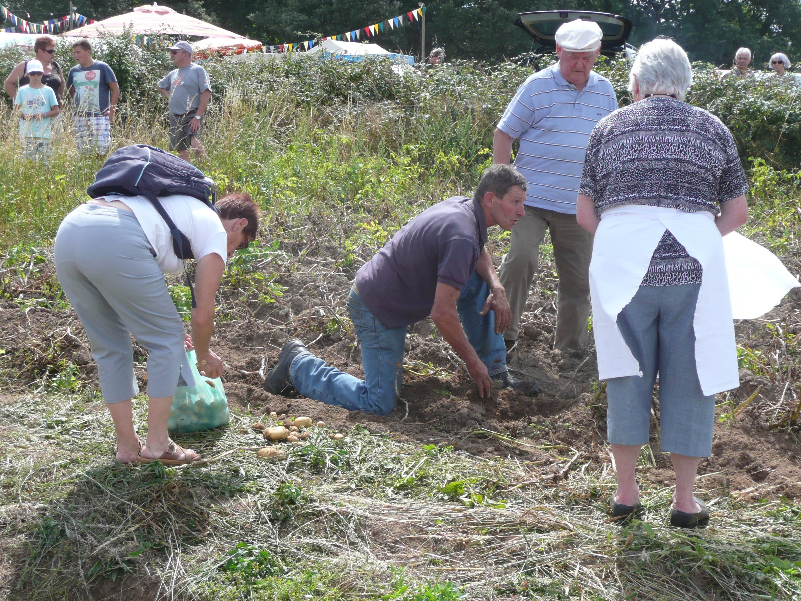 128 fete des battages 4 aout 2013