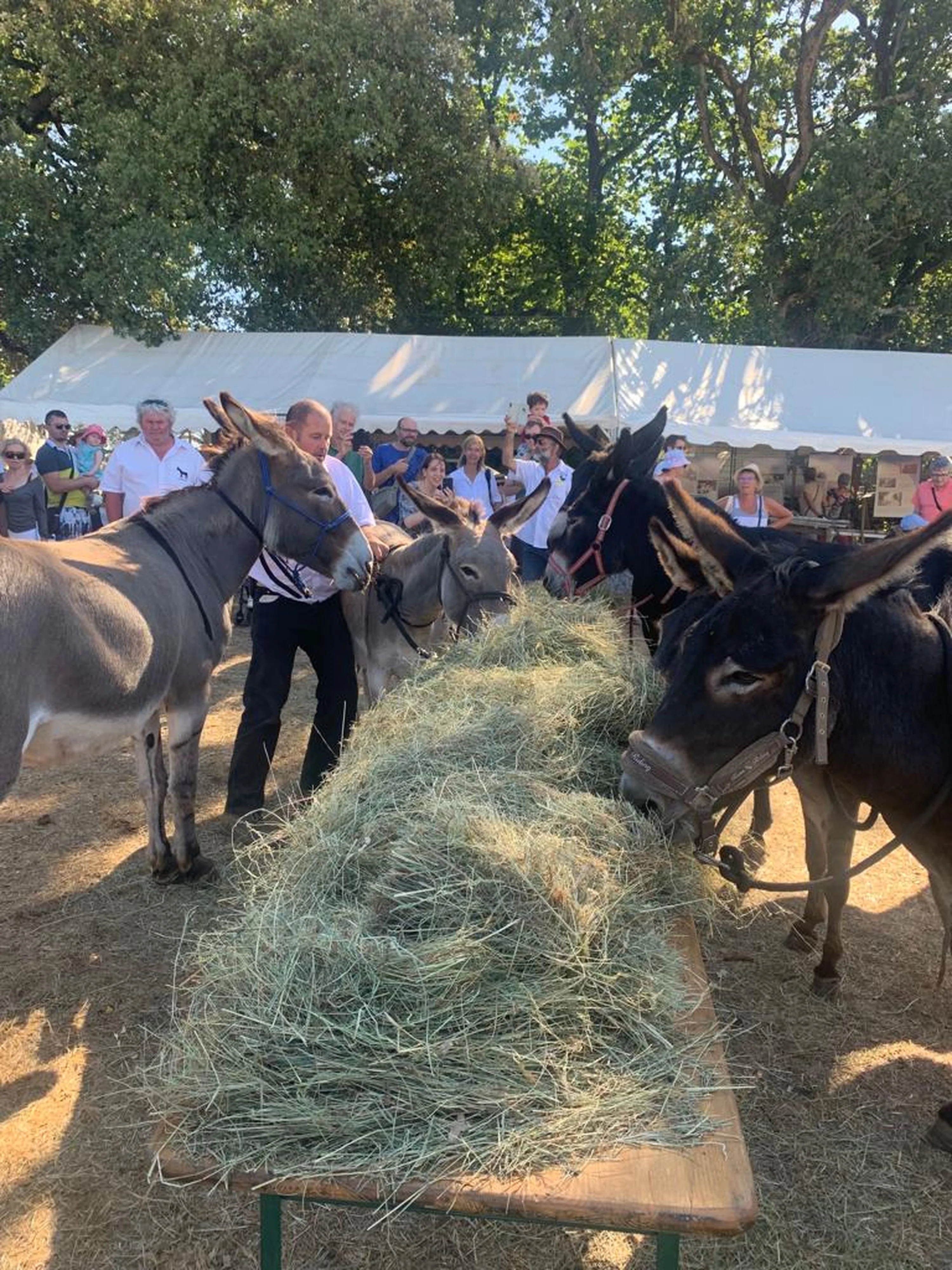 129 fete des battages 7 aout 2022
