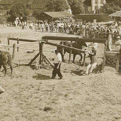 Fête des battages