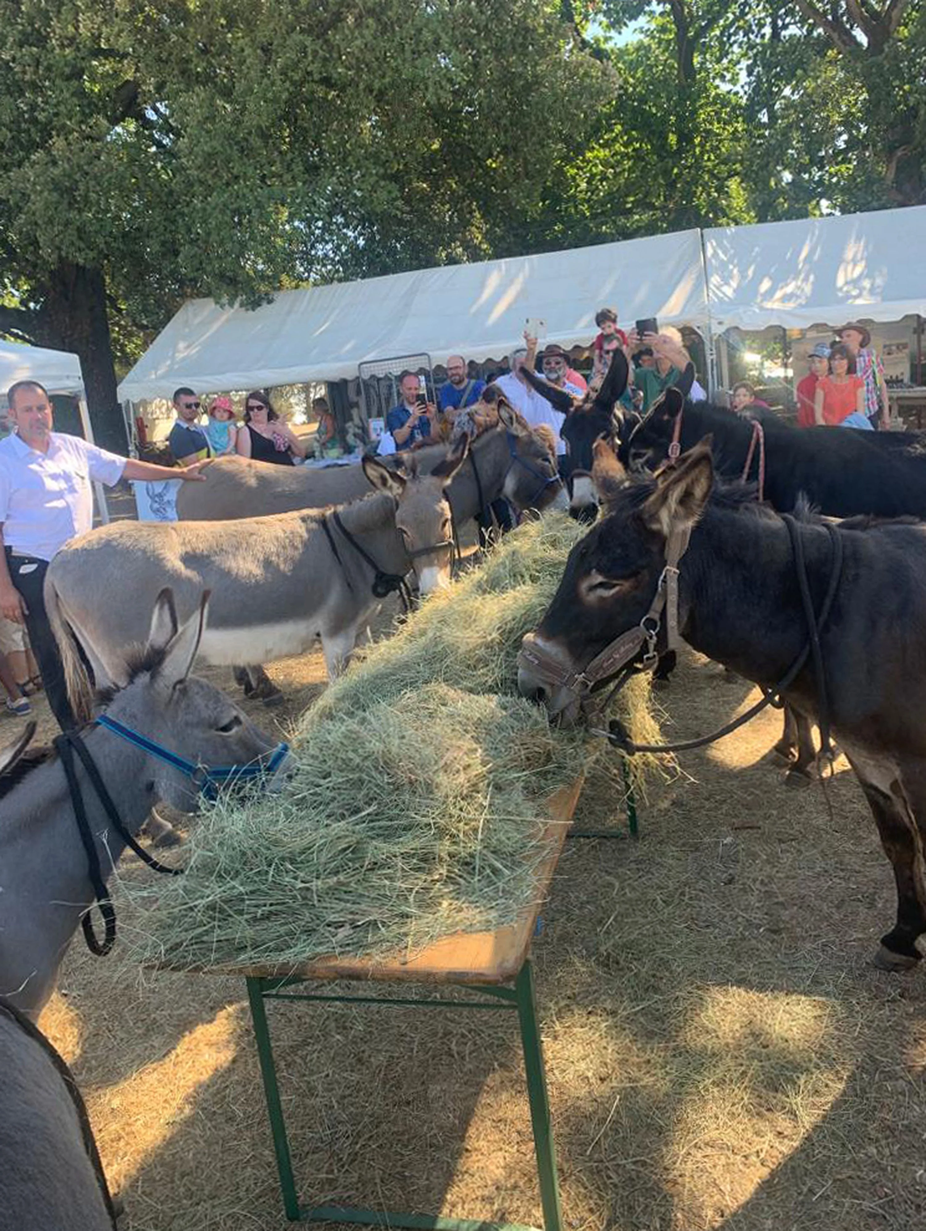130 fete des battages 7 aout 2022