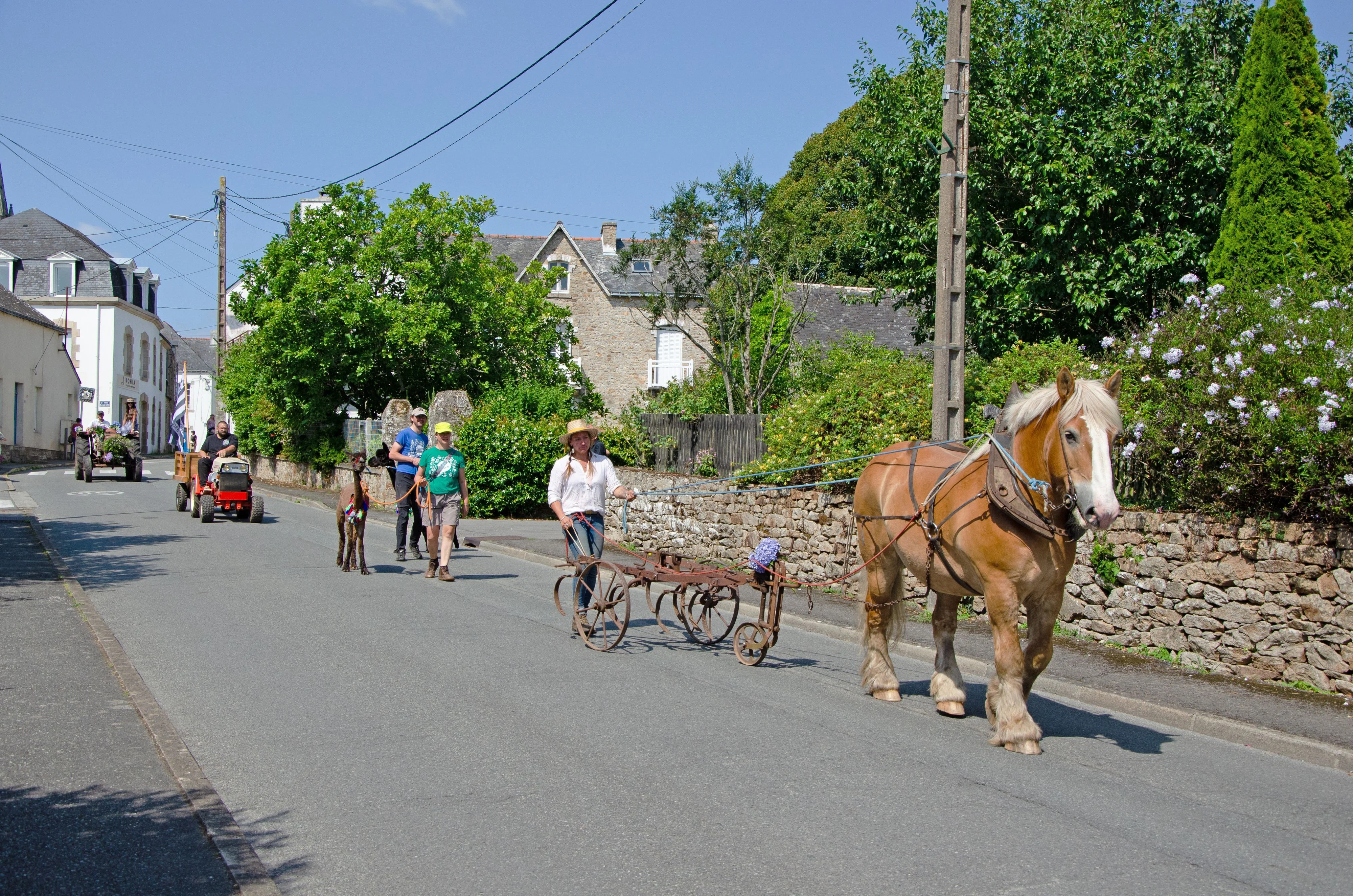 148 fete des battages 3 aout 2025 defile des animaux
