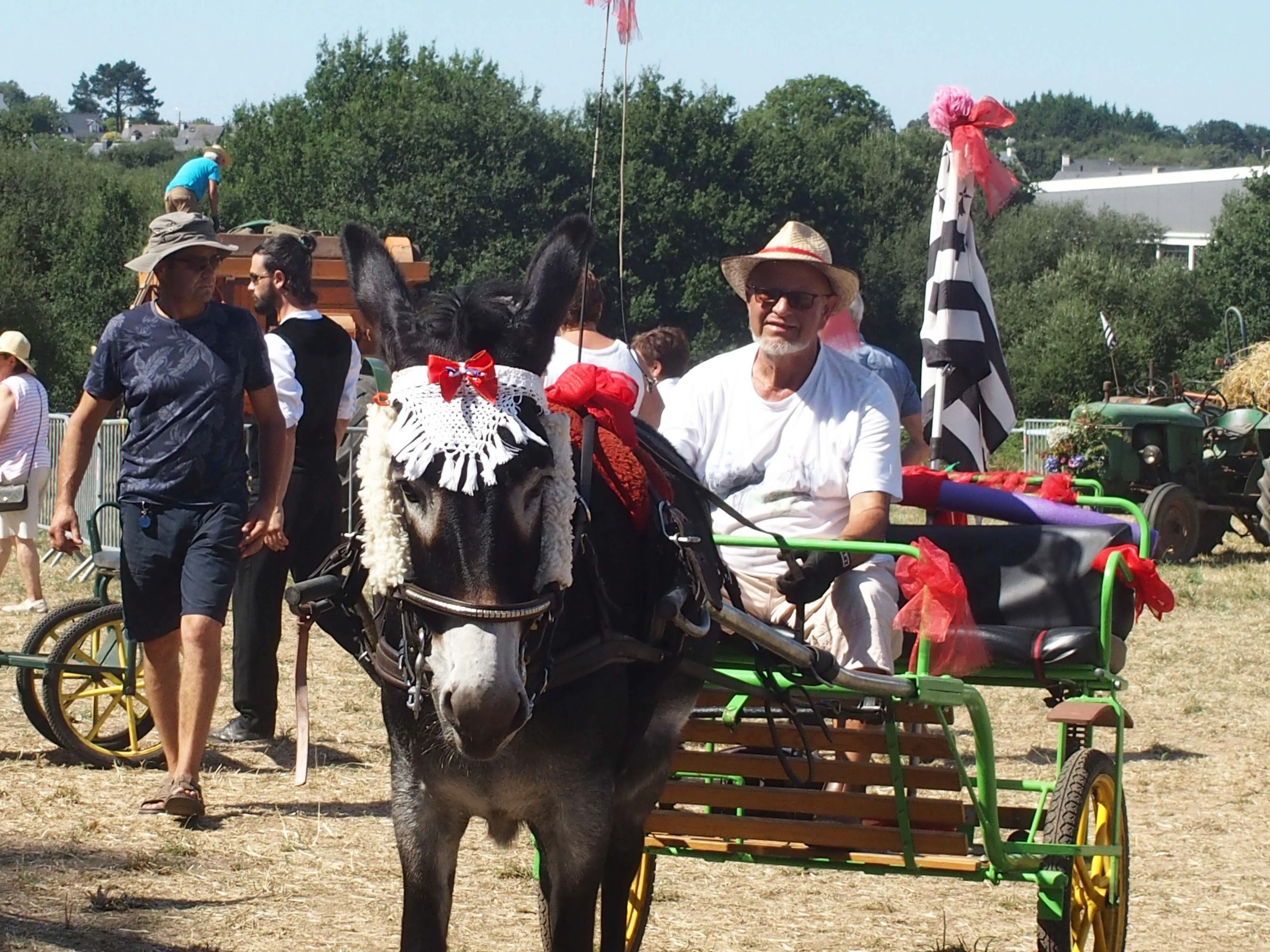 Baden fete des battages 2018 109 
