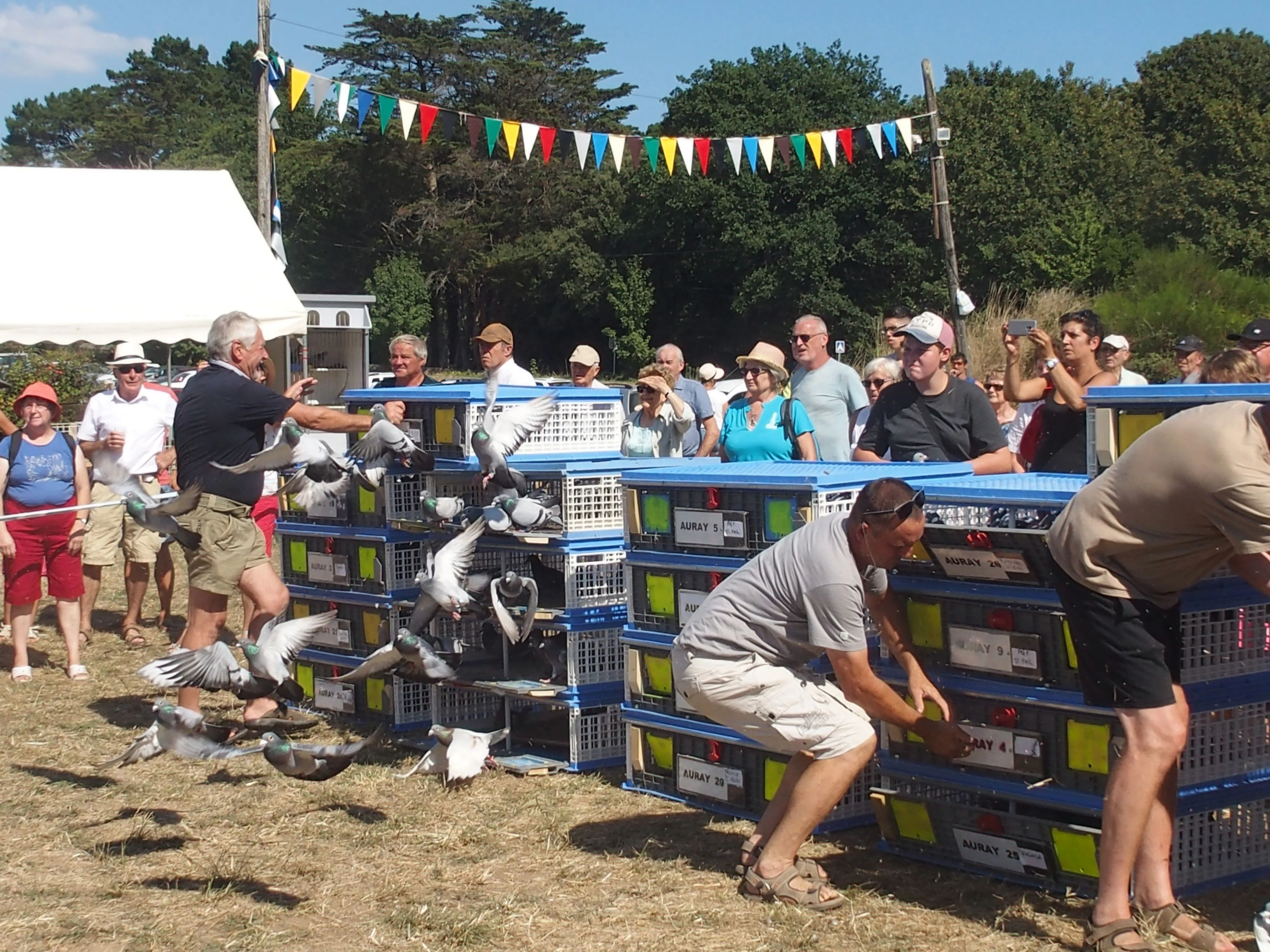 Baden fete des battages 2018 132 