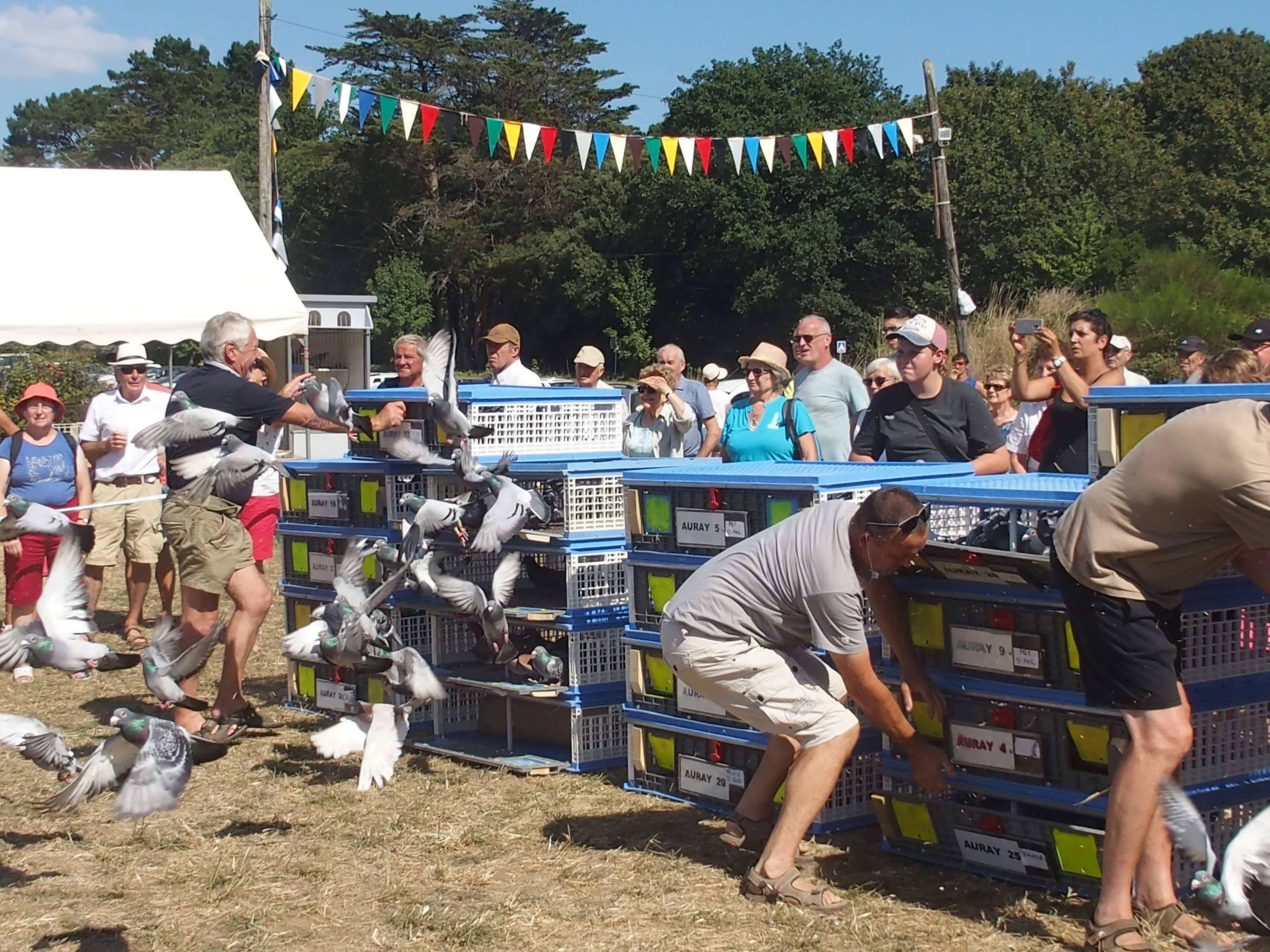 Baden fete des battages 2018 133 