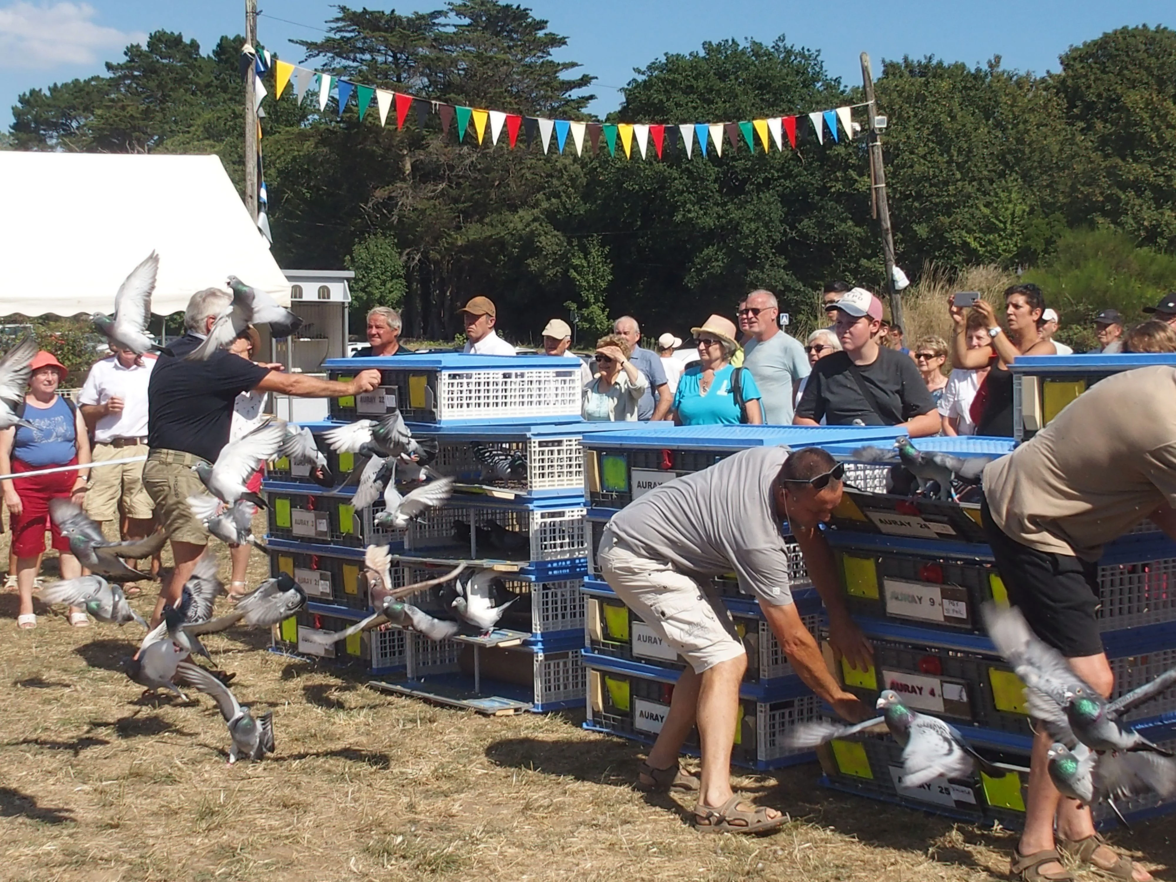 Baden fete des battages 2018 135 