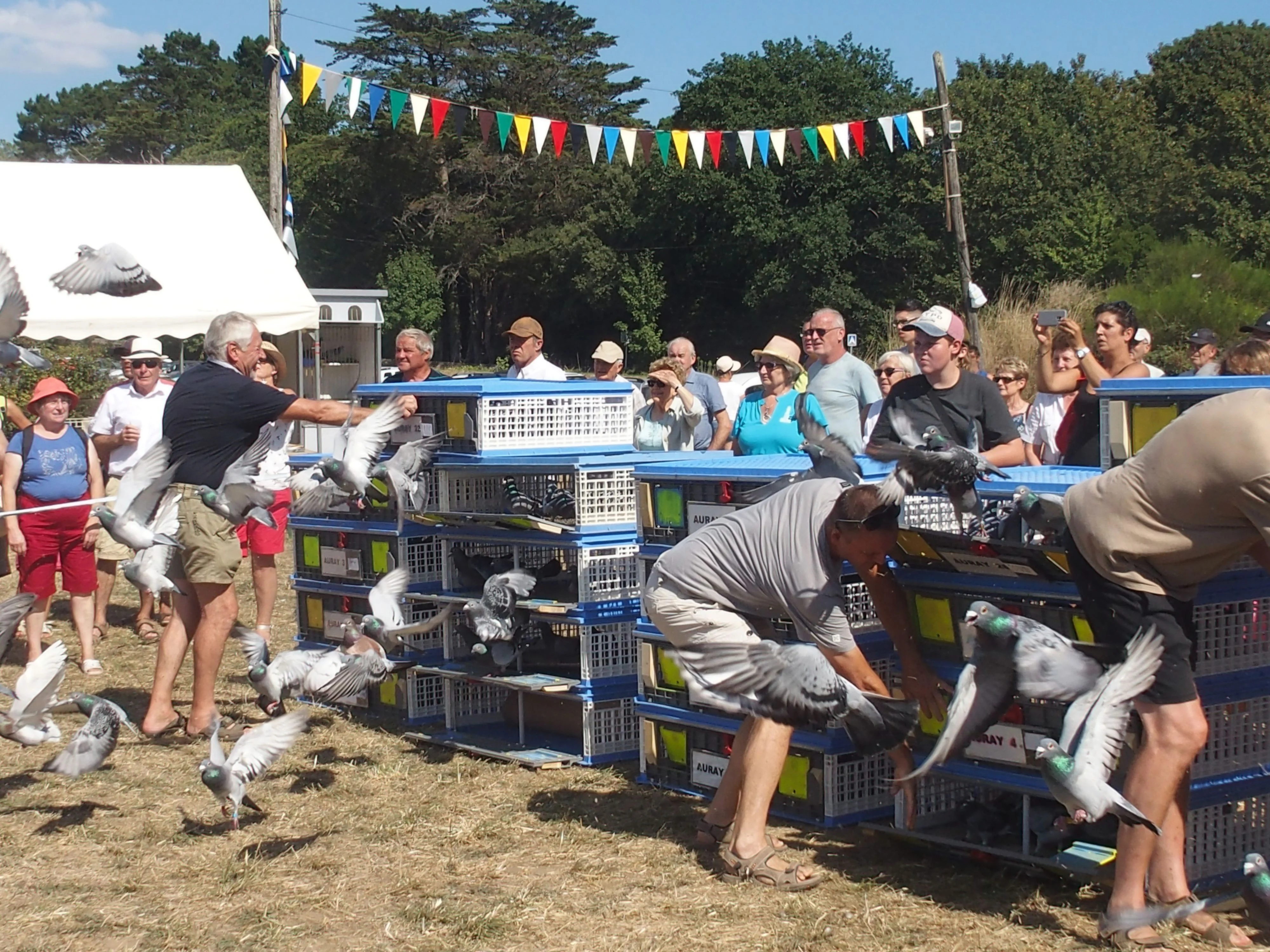 Baden fete des battages 2018 136 