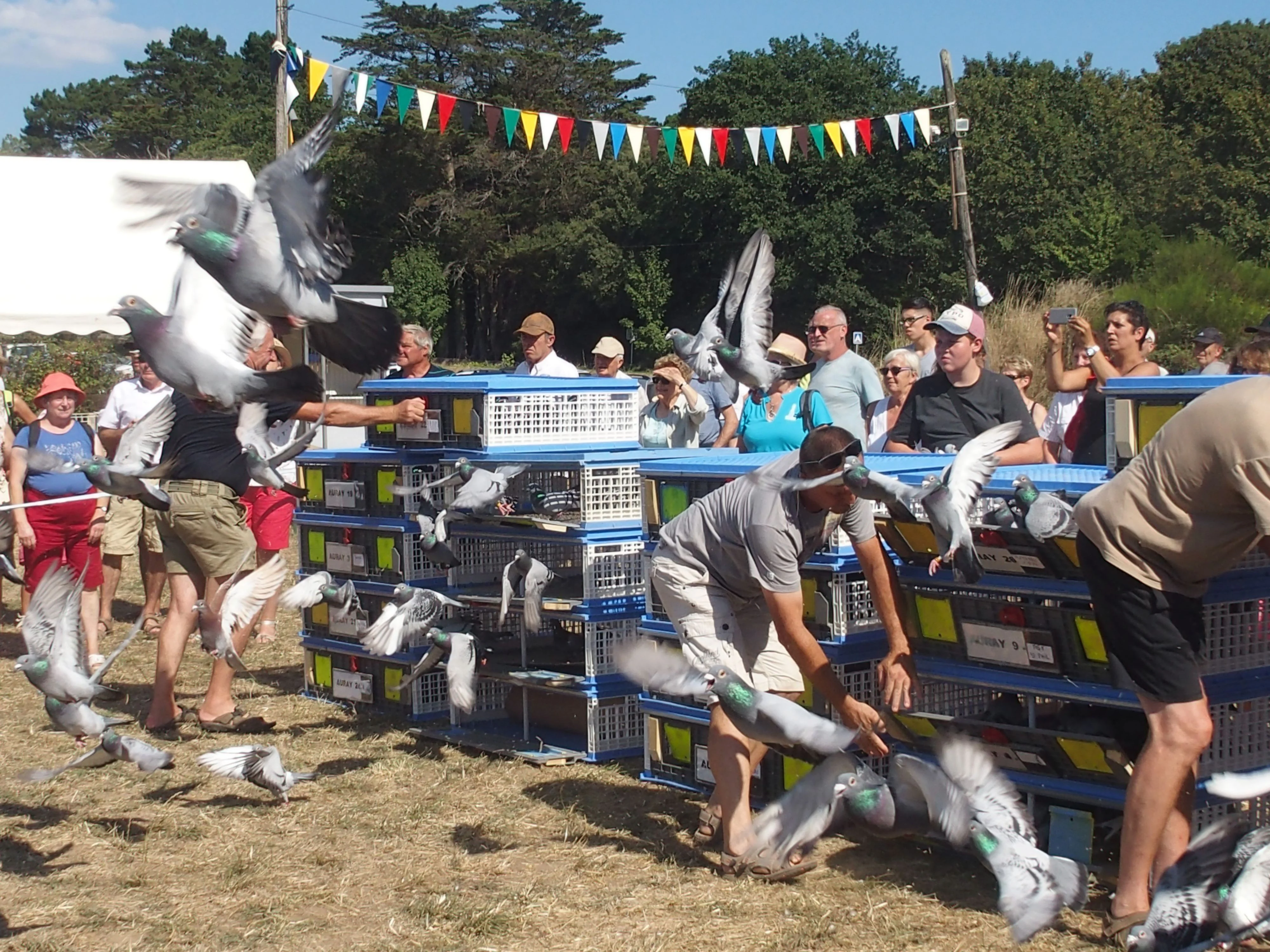 Baden fete des battages 2018 138 