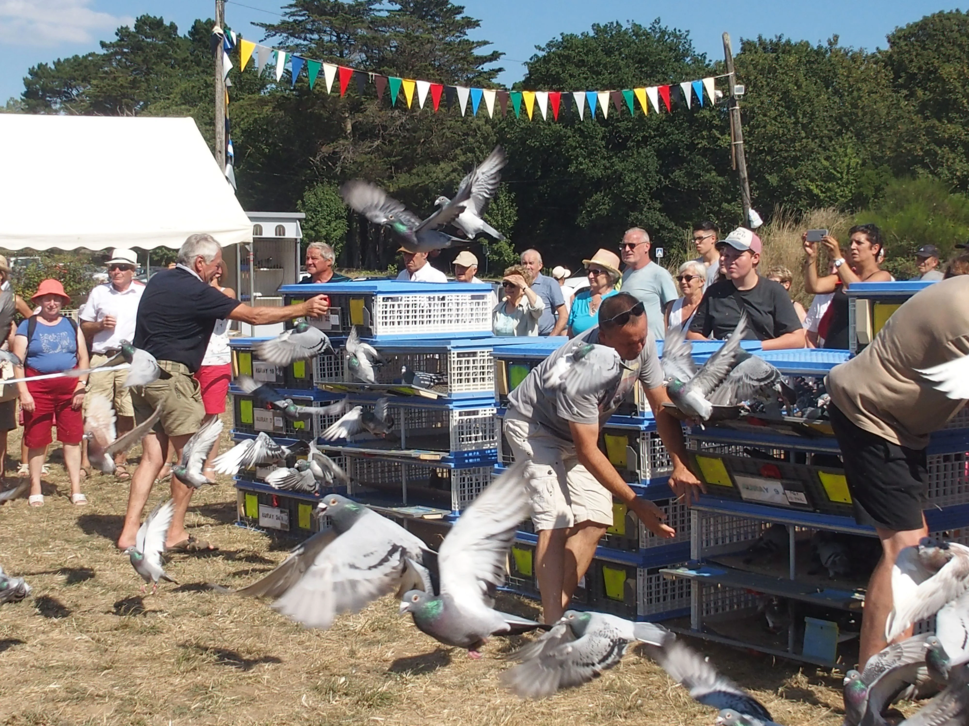 Baden fete des battages 2018 139 
