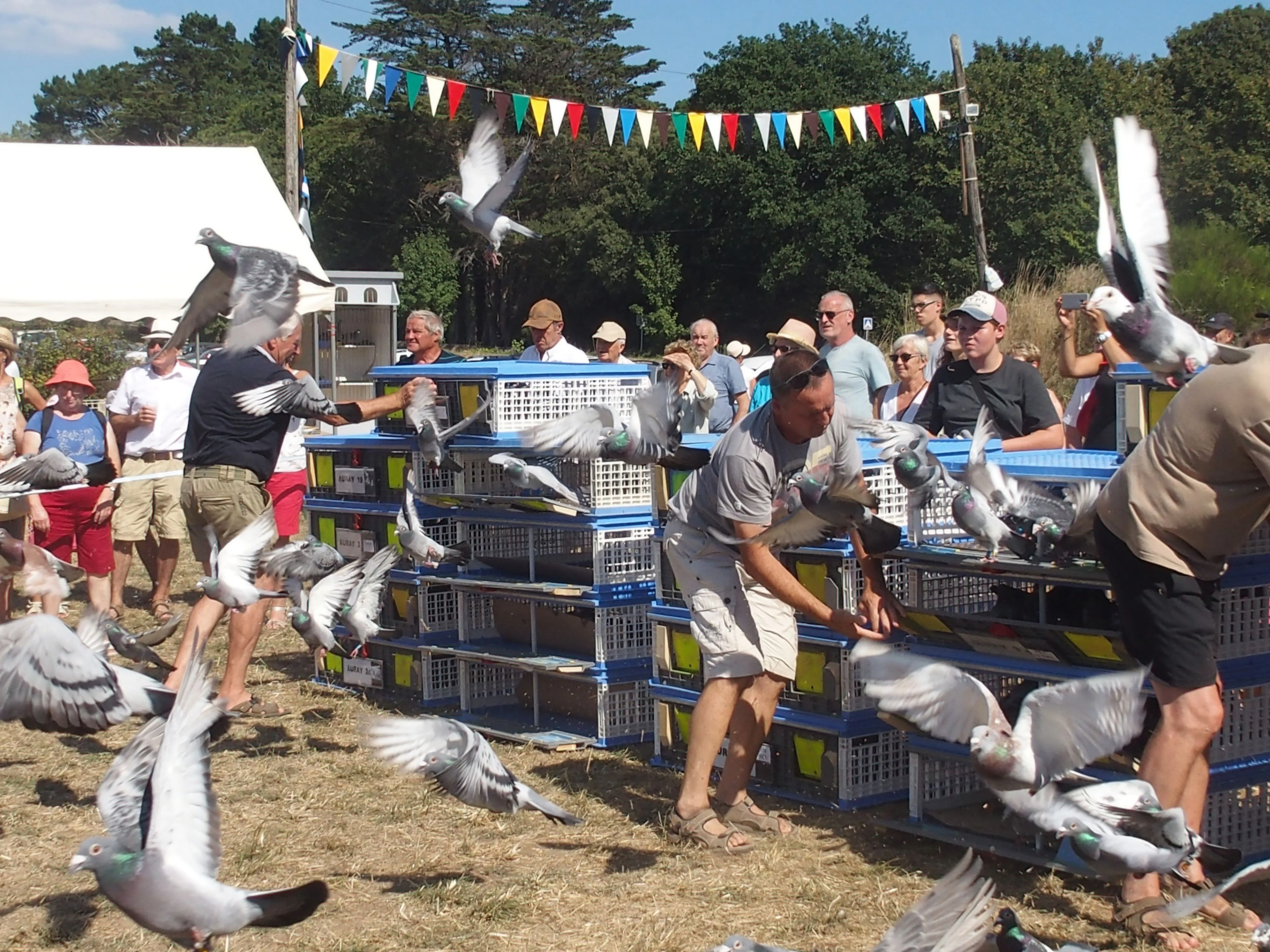 Baden fete des battages 2018 140 