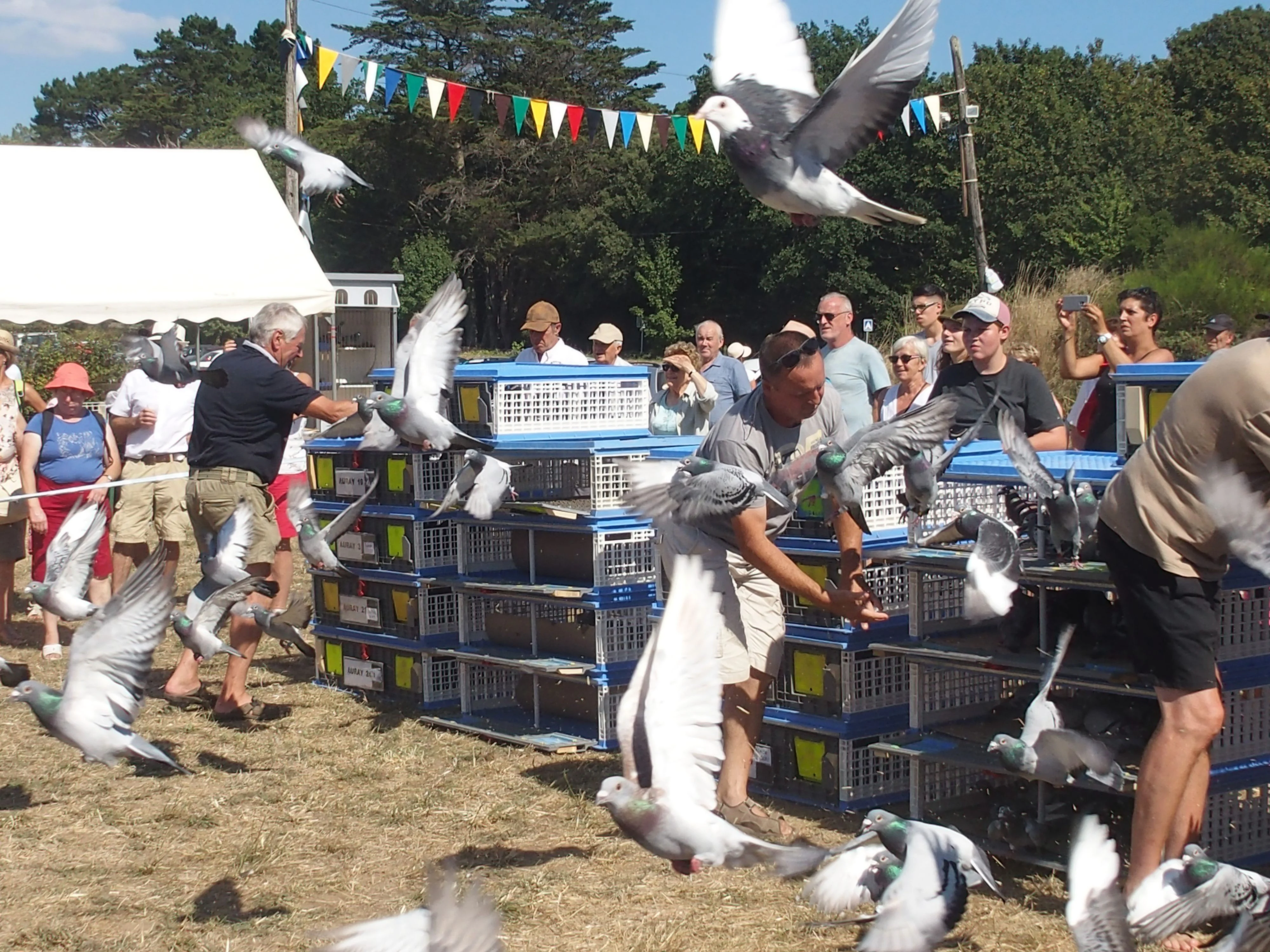 Baden fete des battages 2018 141 