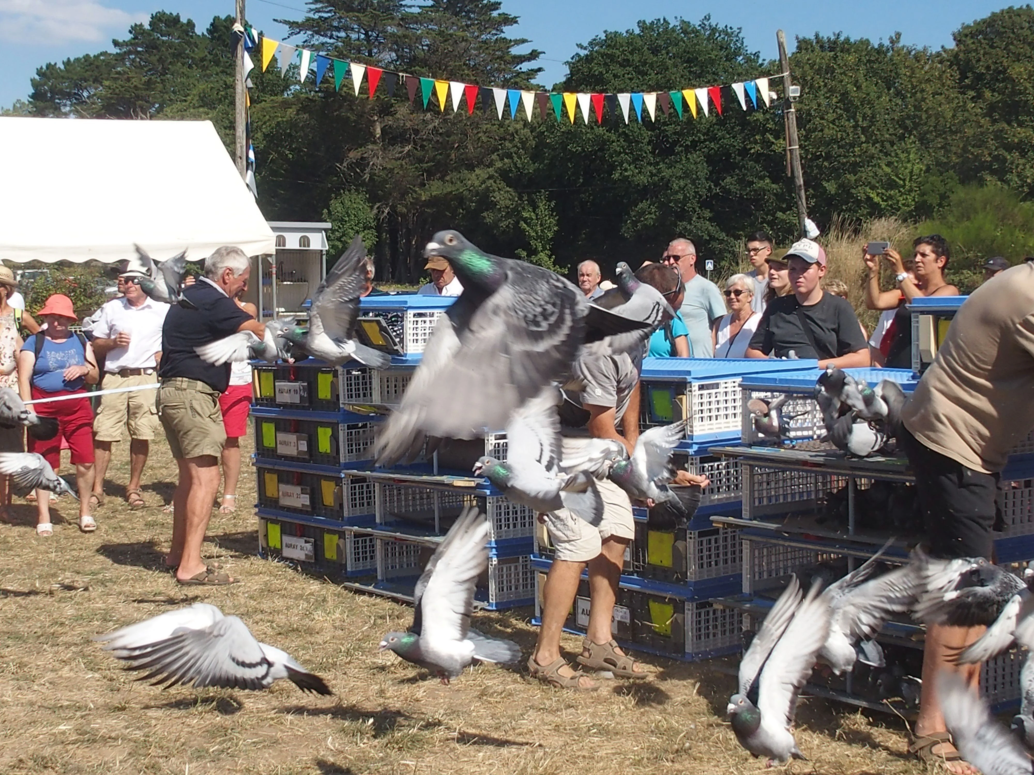 Baden fete des battages 2018 143 