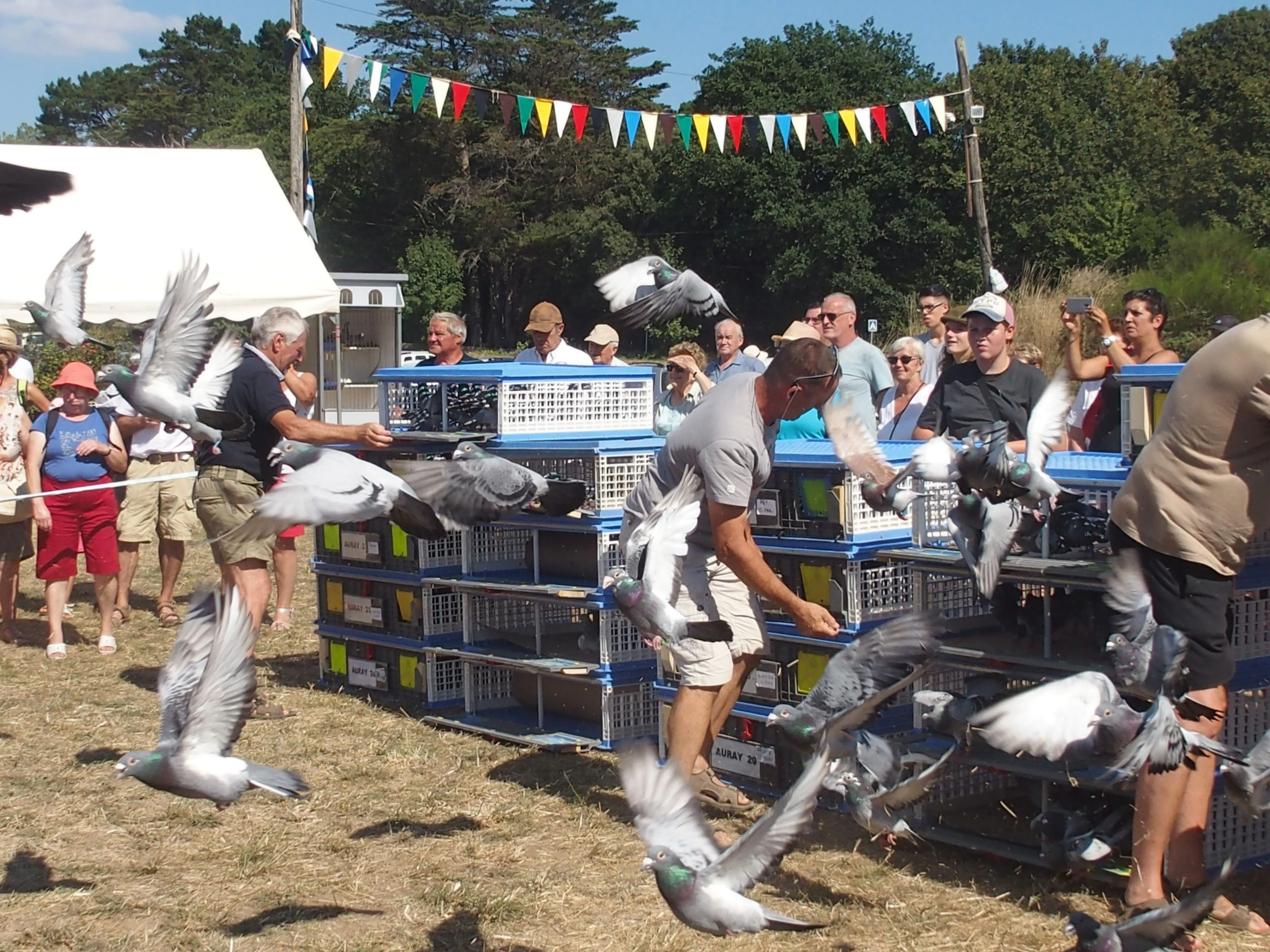 Baden fete des battages 2018 144 