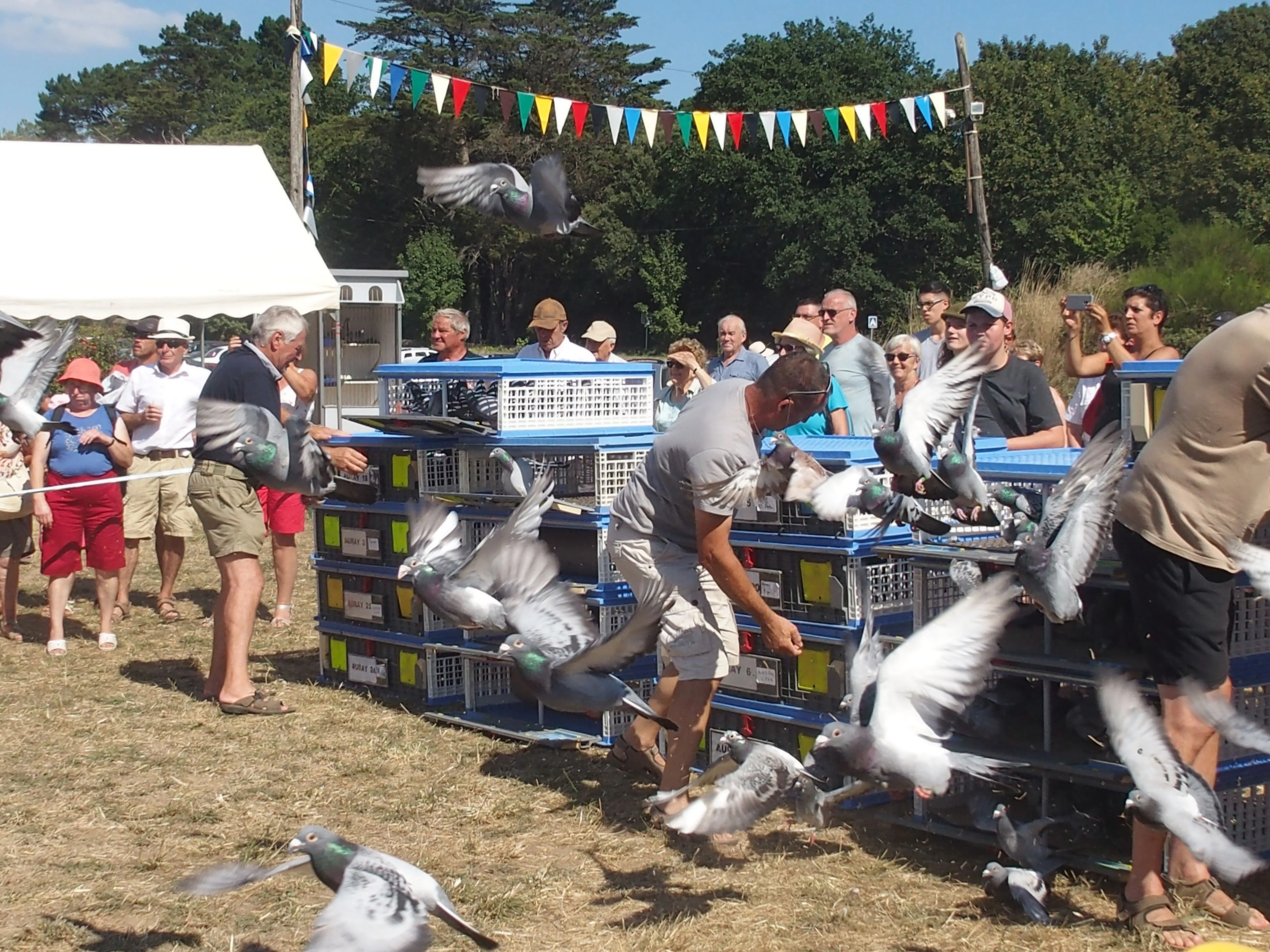 Baden fete des battages 2018 145 
