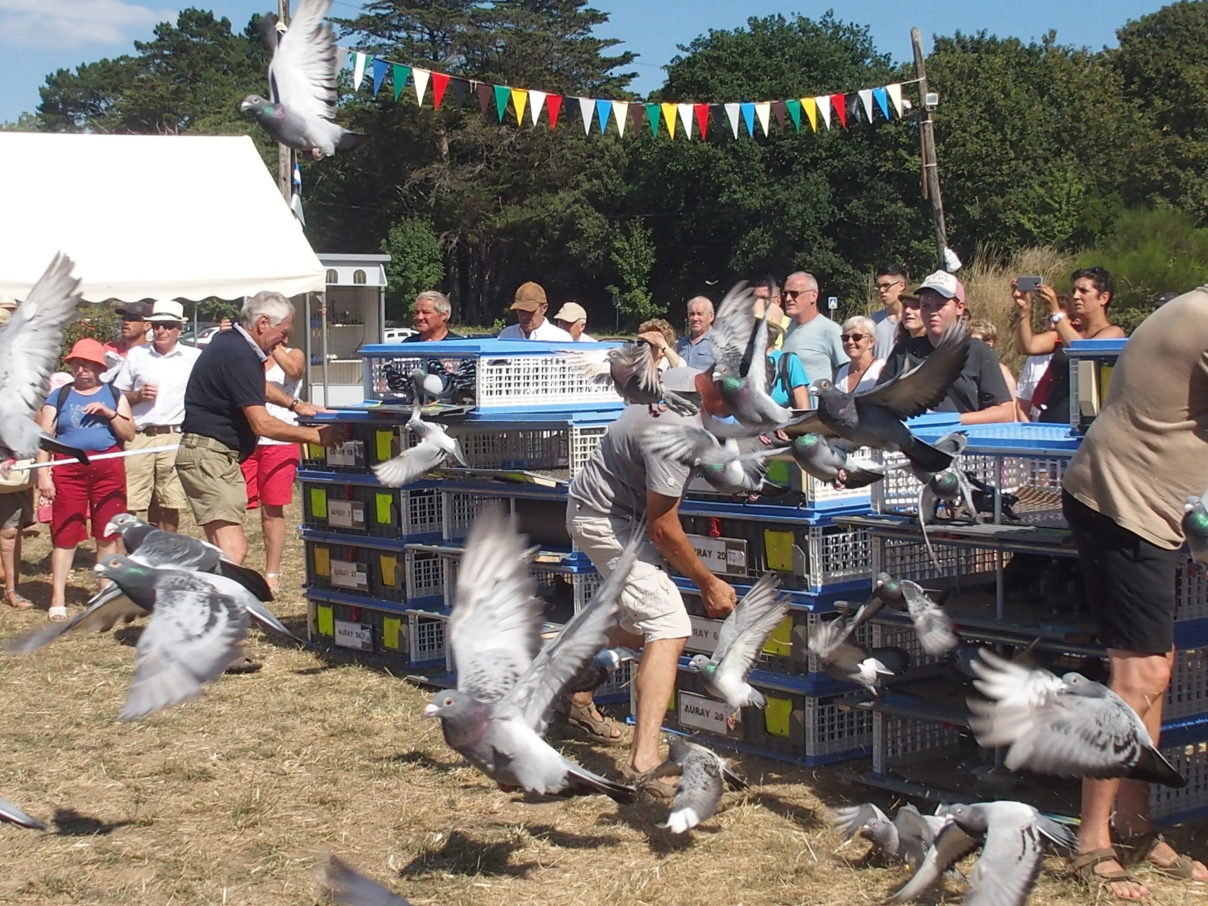 Baden fete des battages 2018 146 