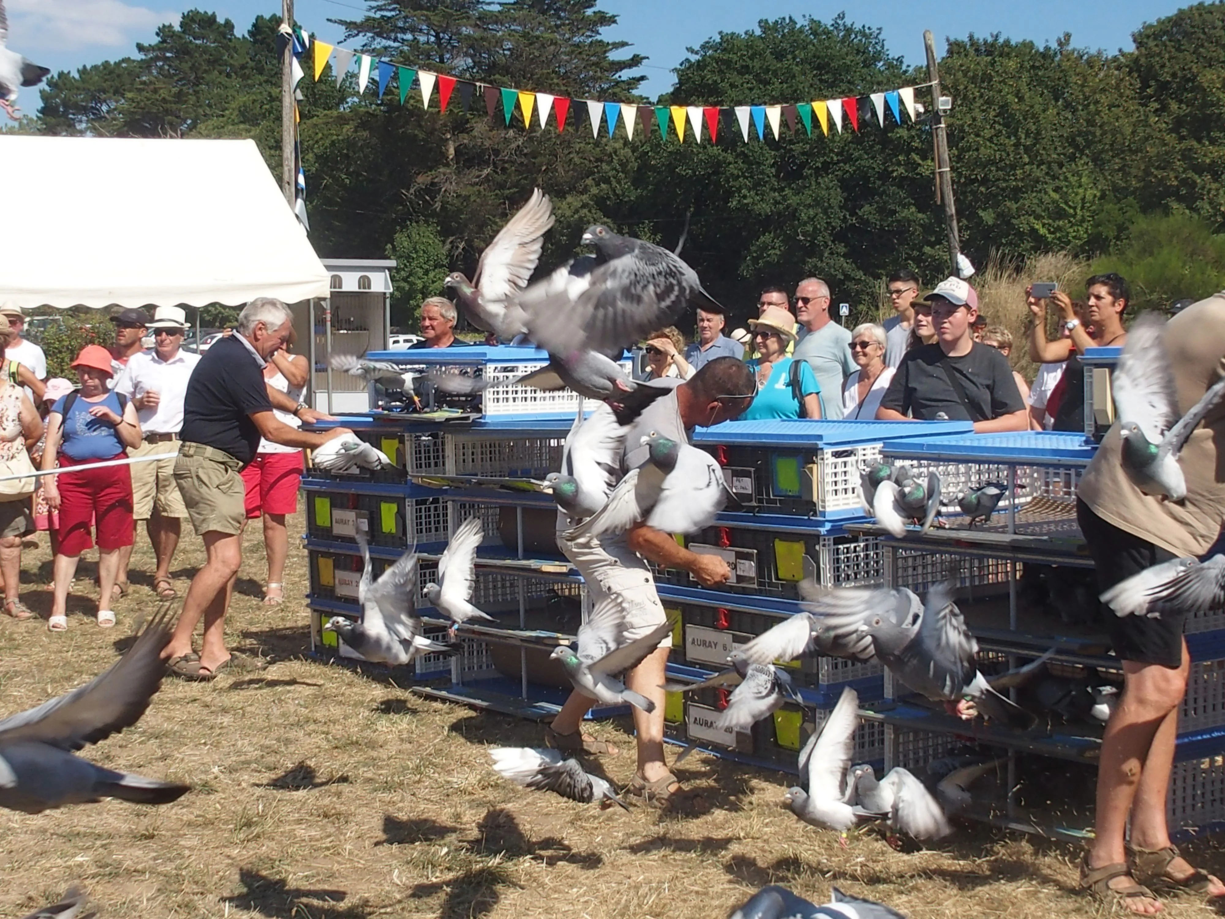 Baden fete des battages 2018 147 