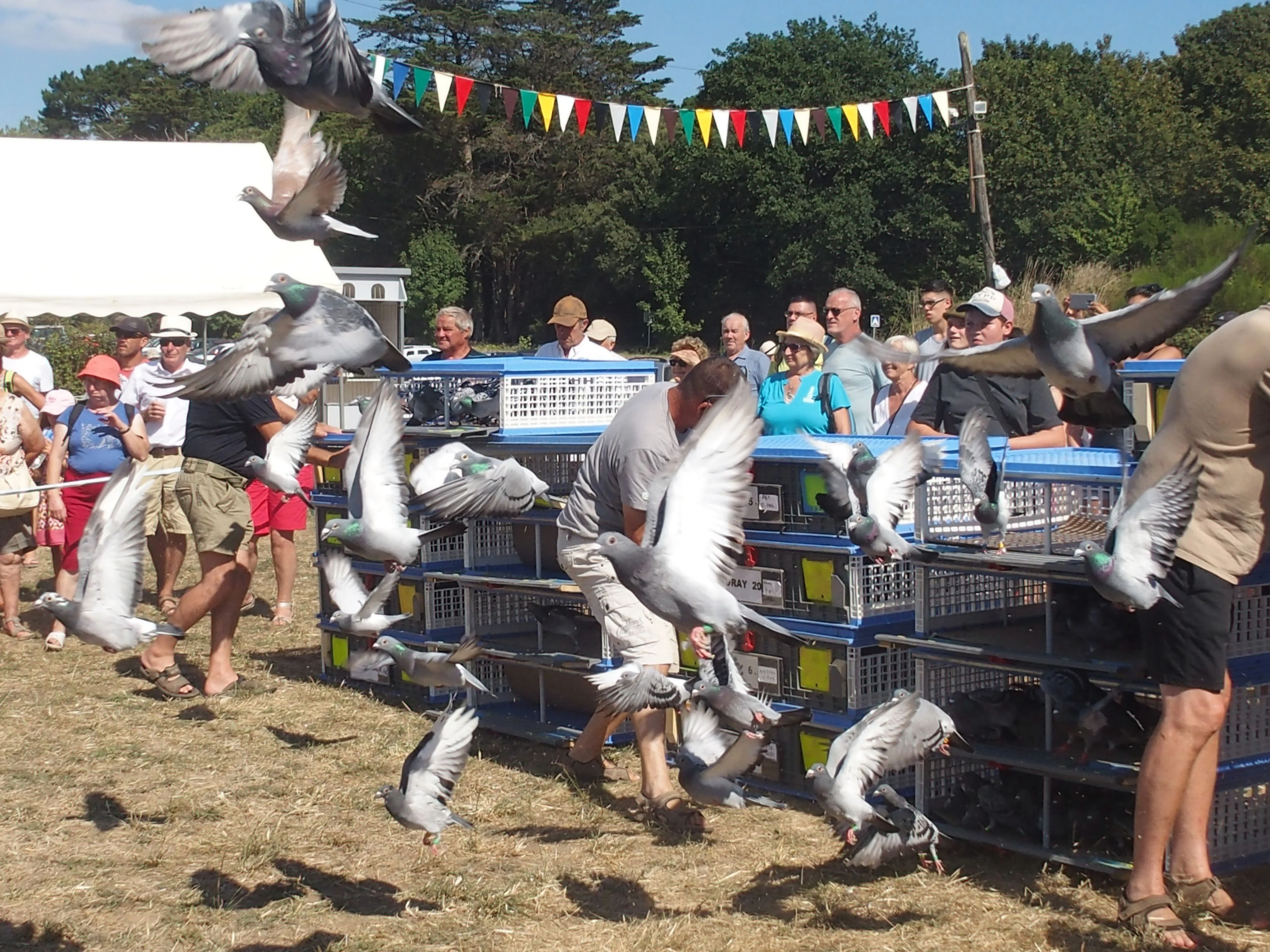 Baden fete des battages 2018 148 