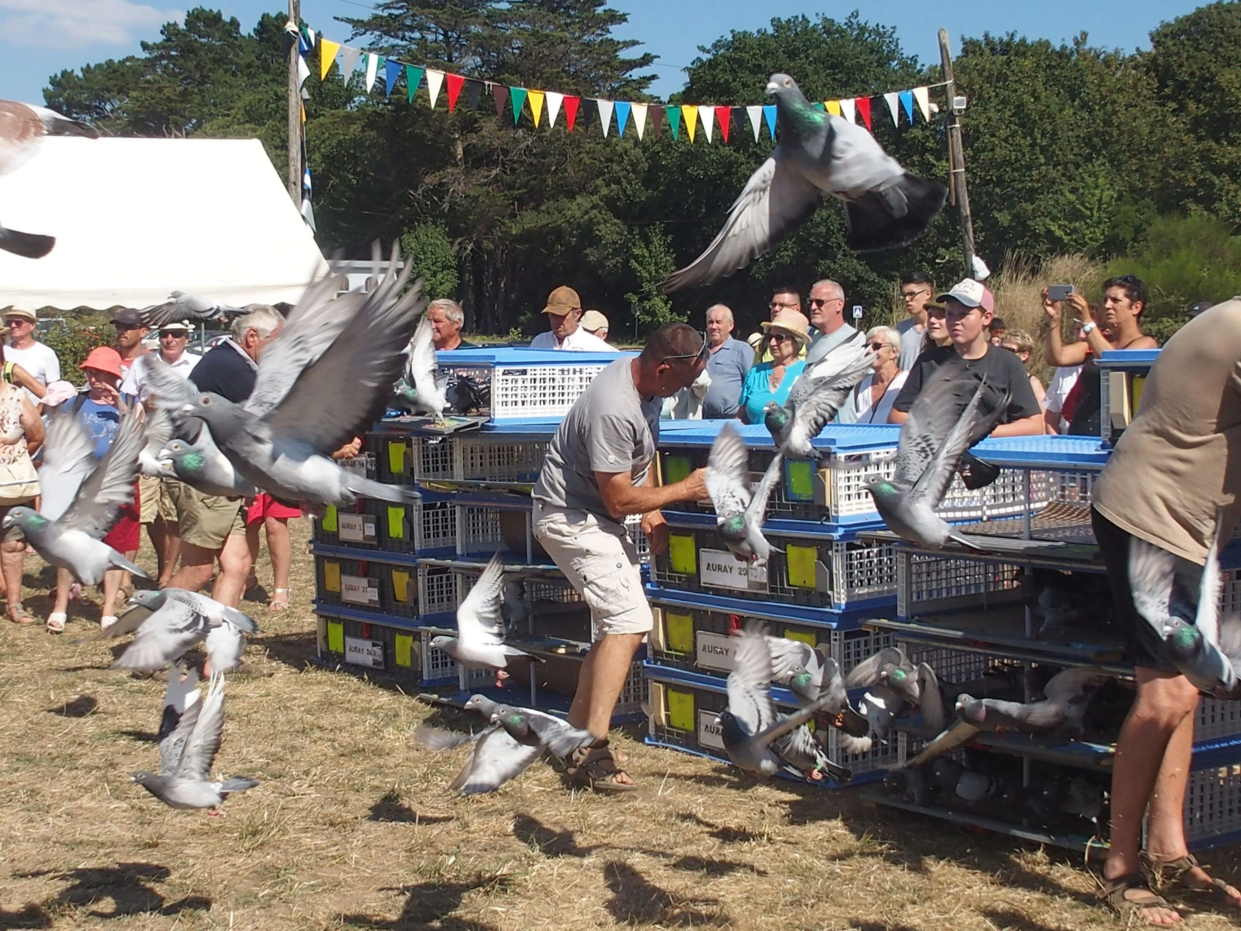 Baden fete des battages 2018 149 