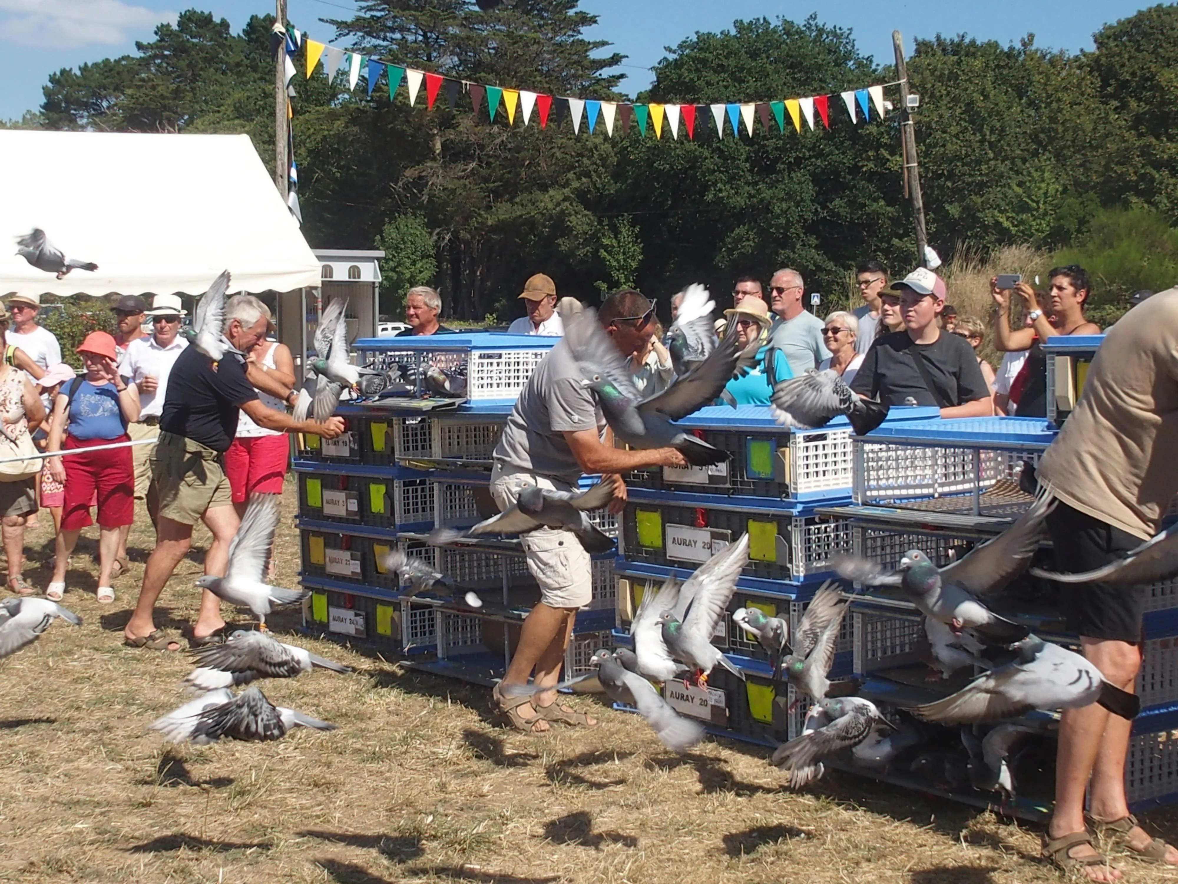 Baden fete des battages 2018 150 