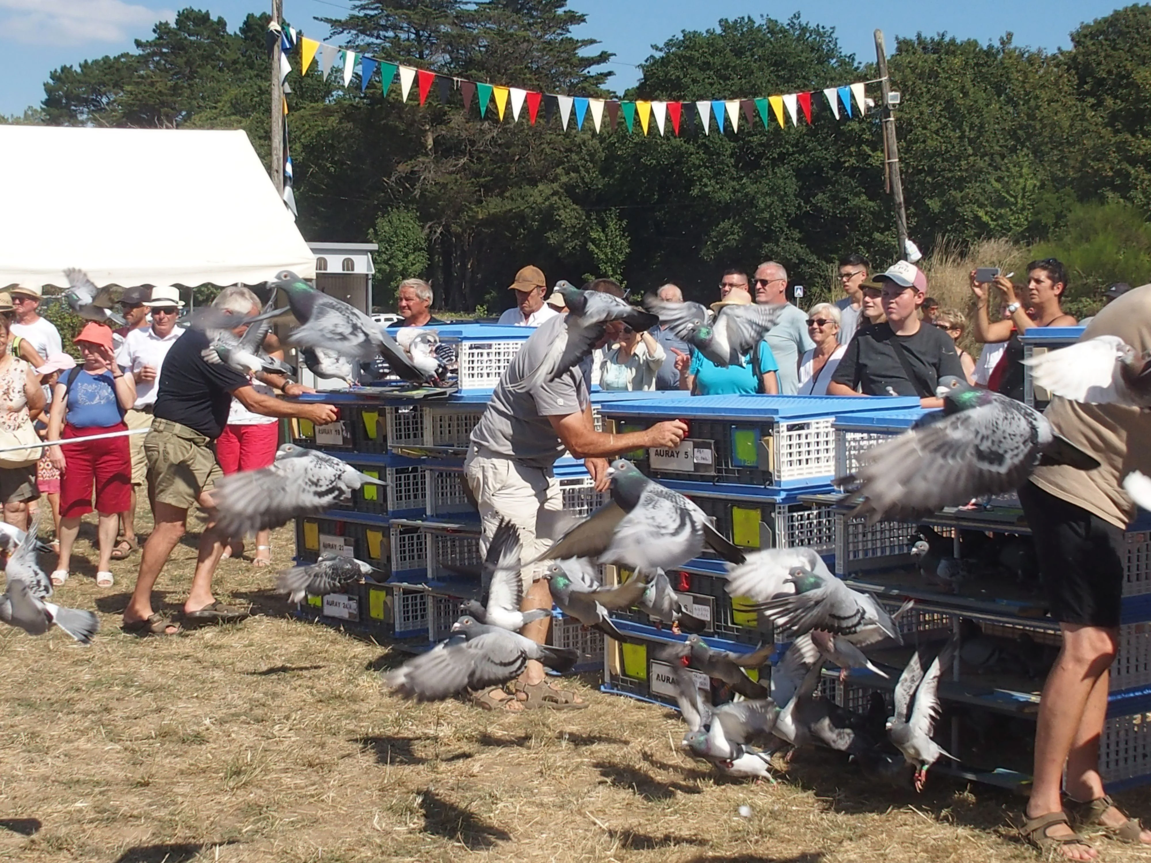 Baden fete des battages 2018 151 