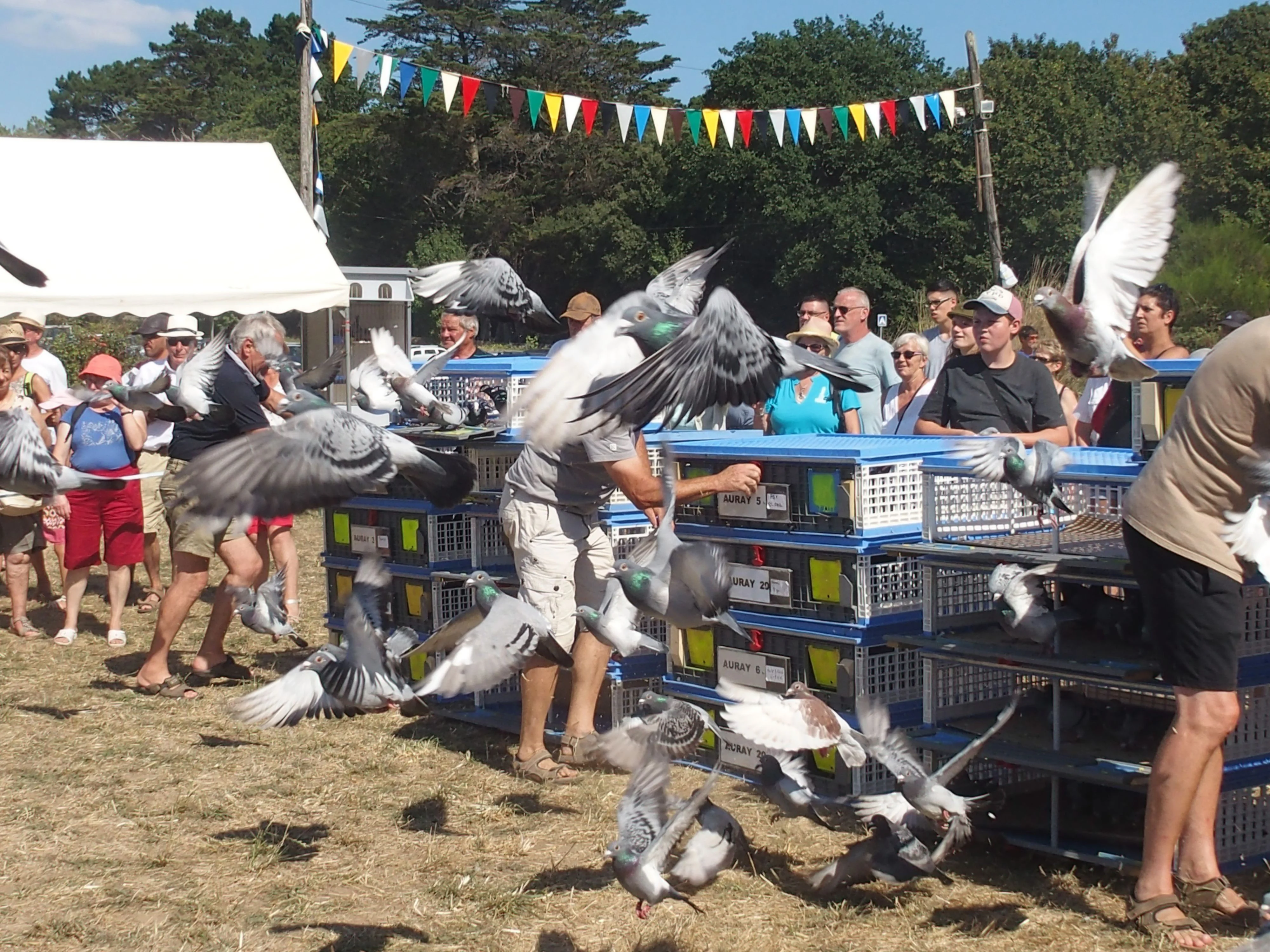 Baden fete des battages 2018 152 1