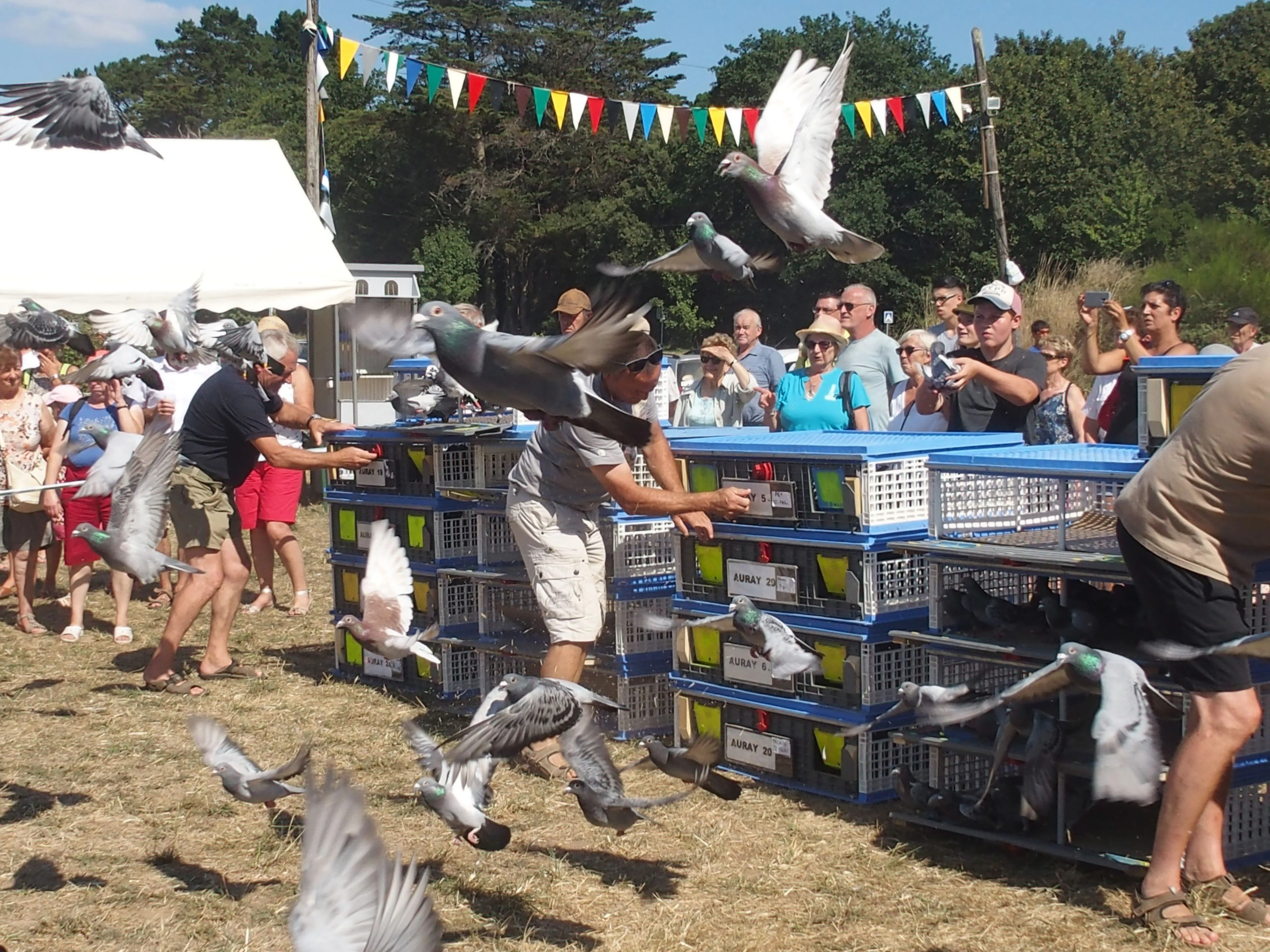 Baden fete des battages 2018 153 