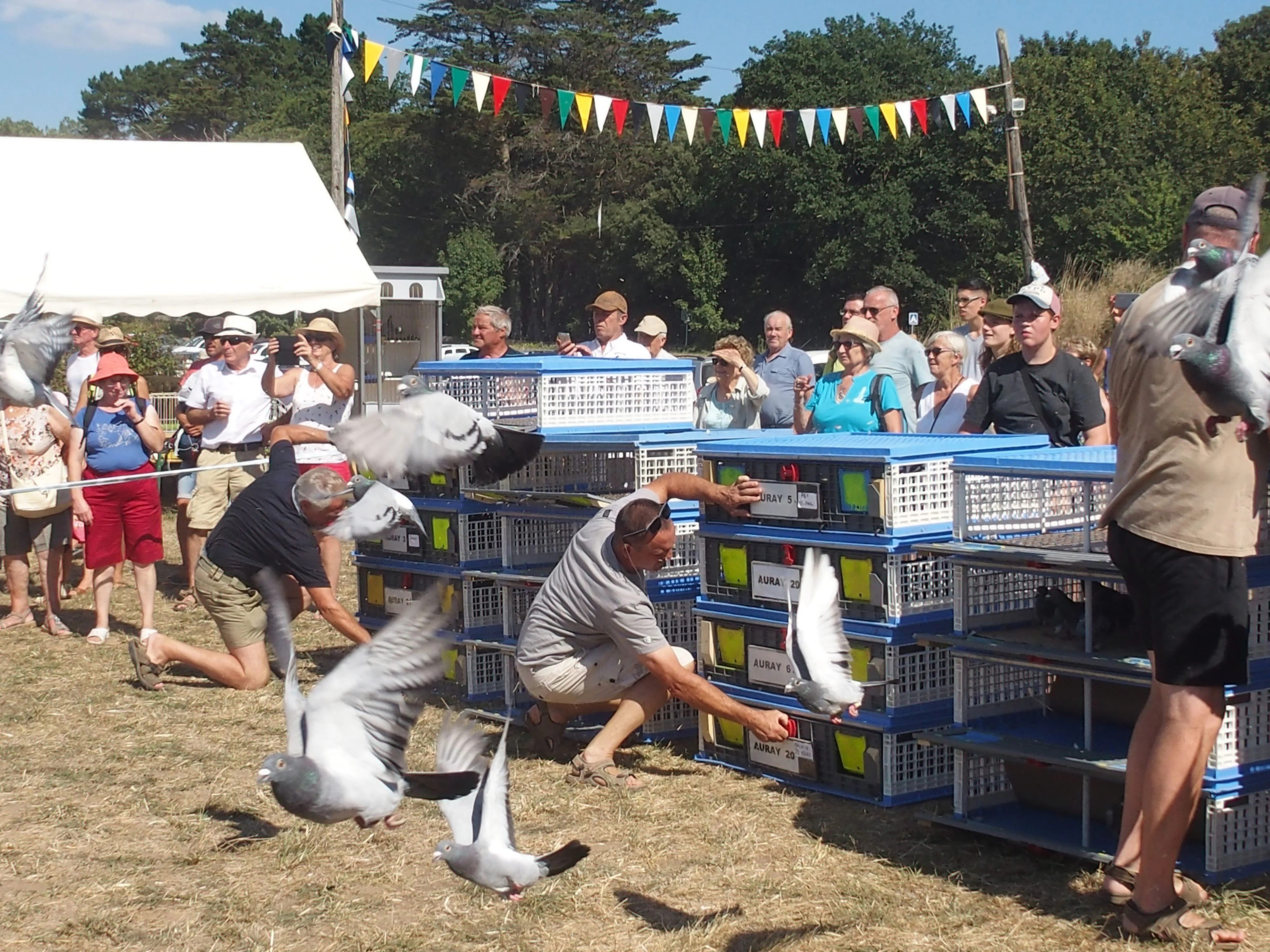 Baden fete des battages 2018 154 