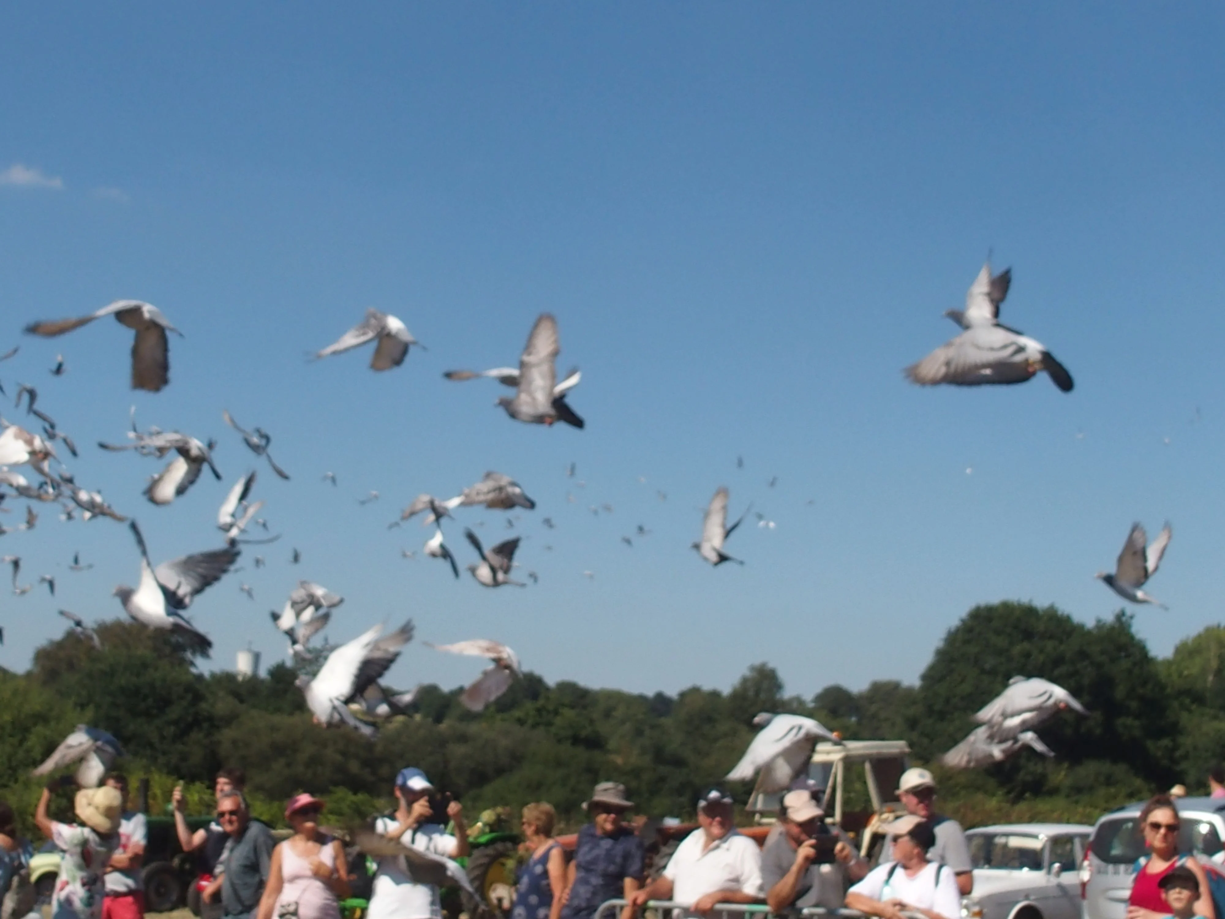 Baden fete des battages 2018 156 