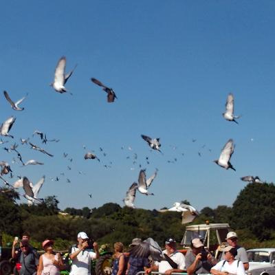 Fête des battages 2018