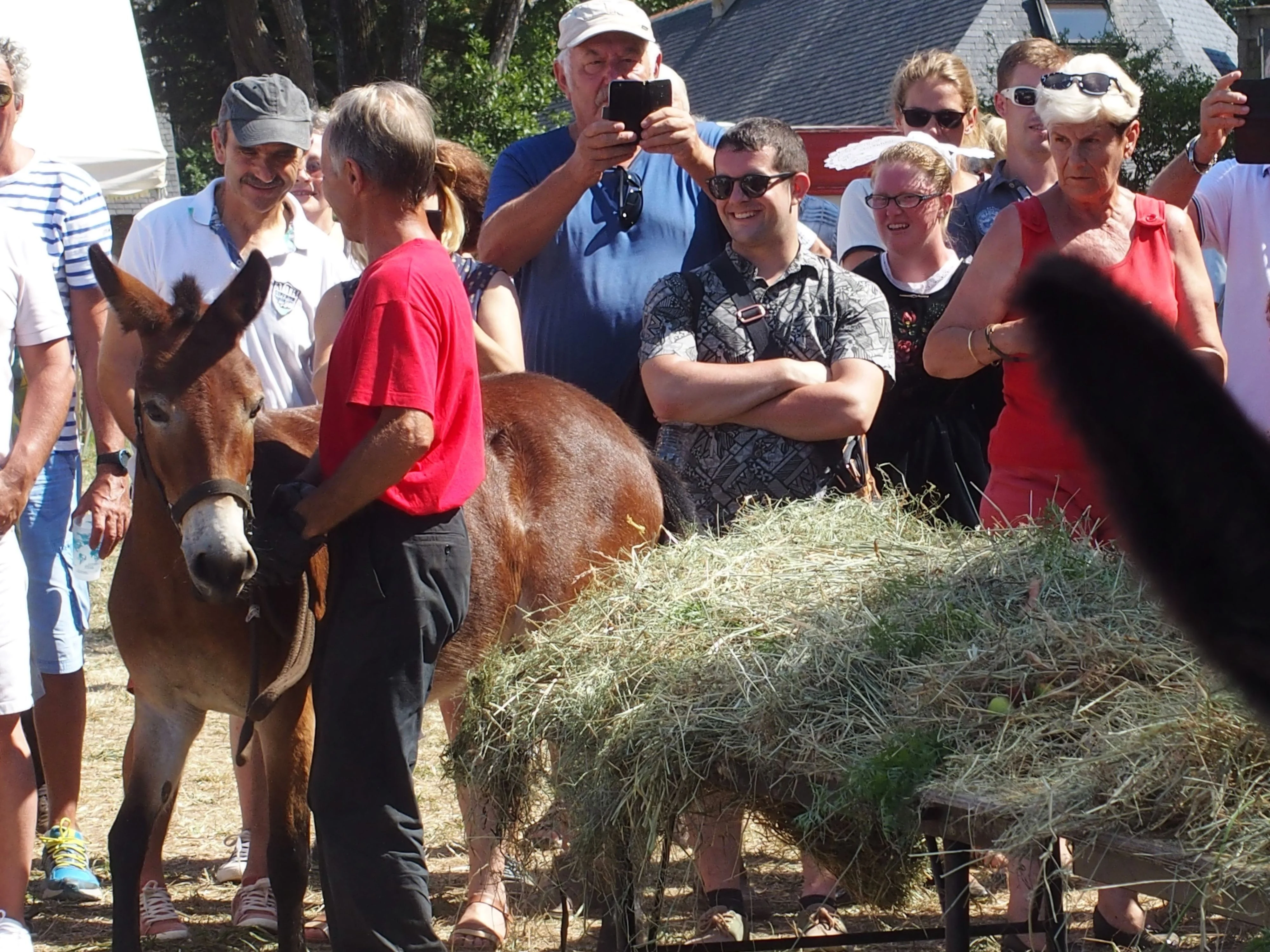 Baden fete des battages 2018 82 