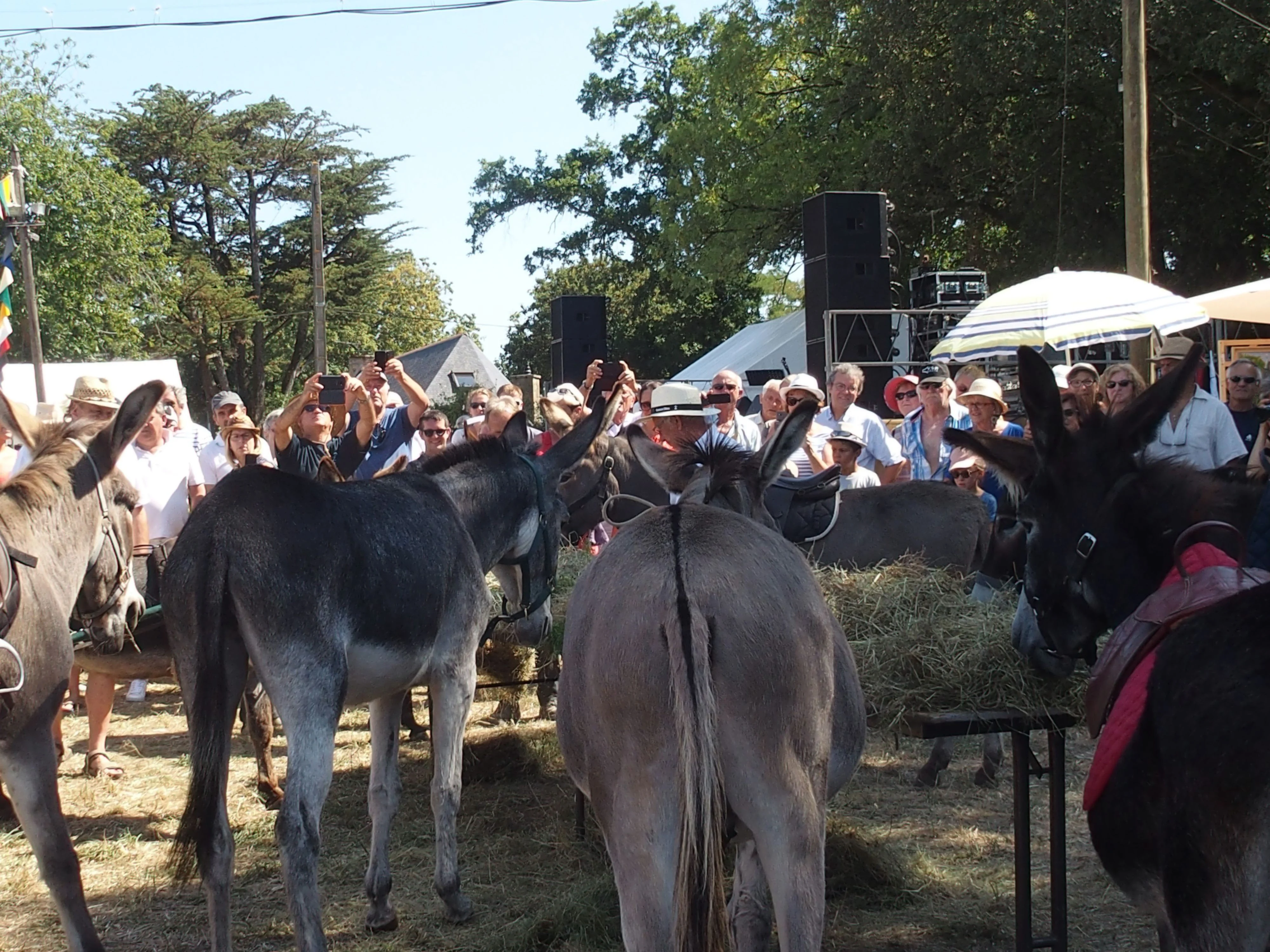 Baden fete des battages 2018 83 