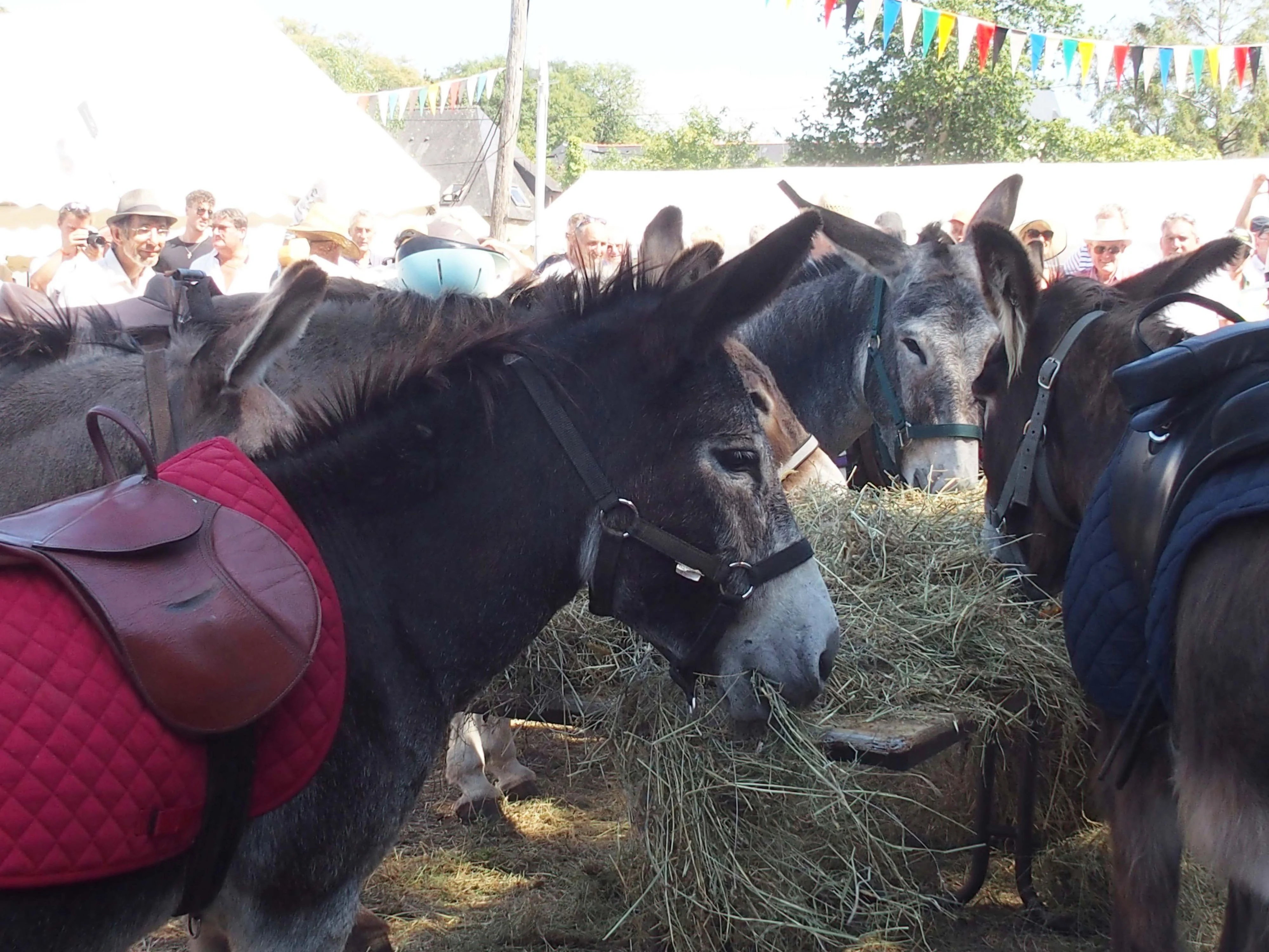 Baden fete des battages 2018 85 