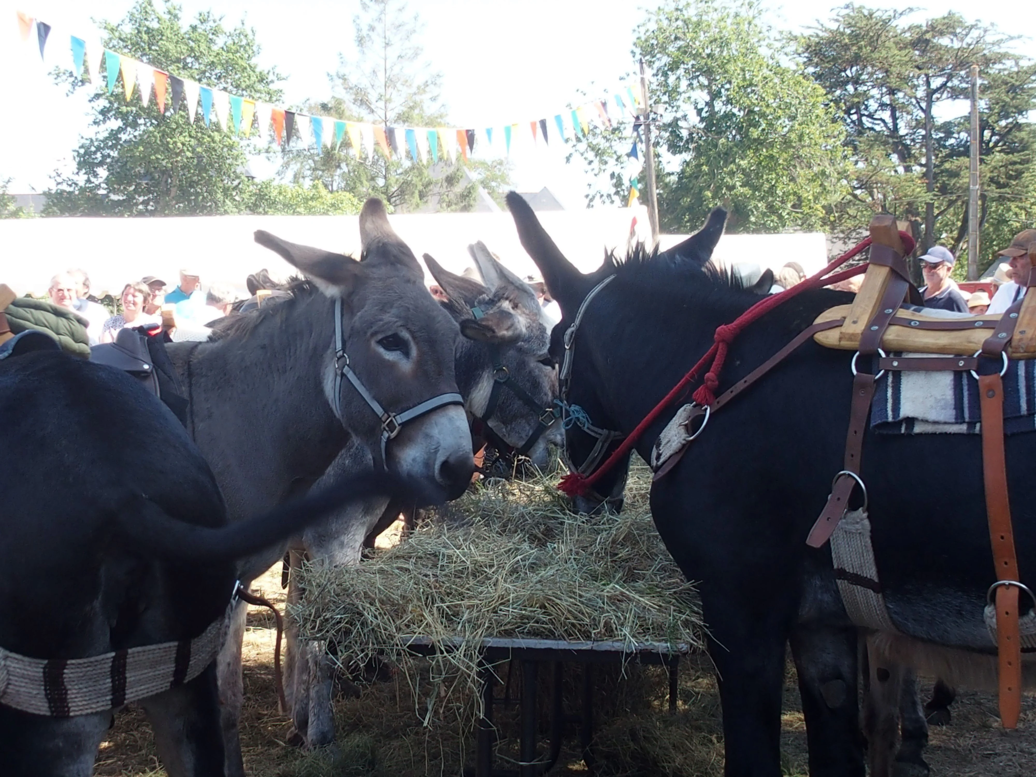 Baden fete des battages 2018 86 