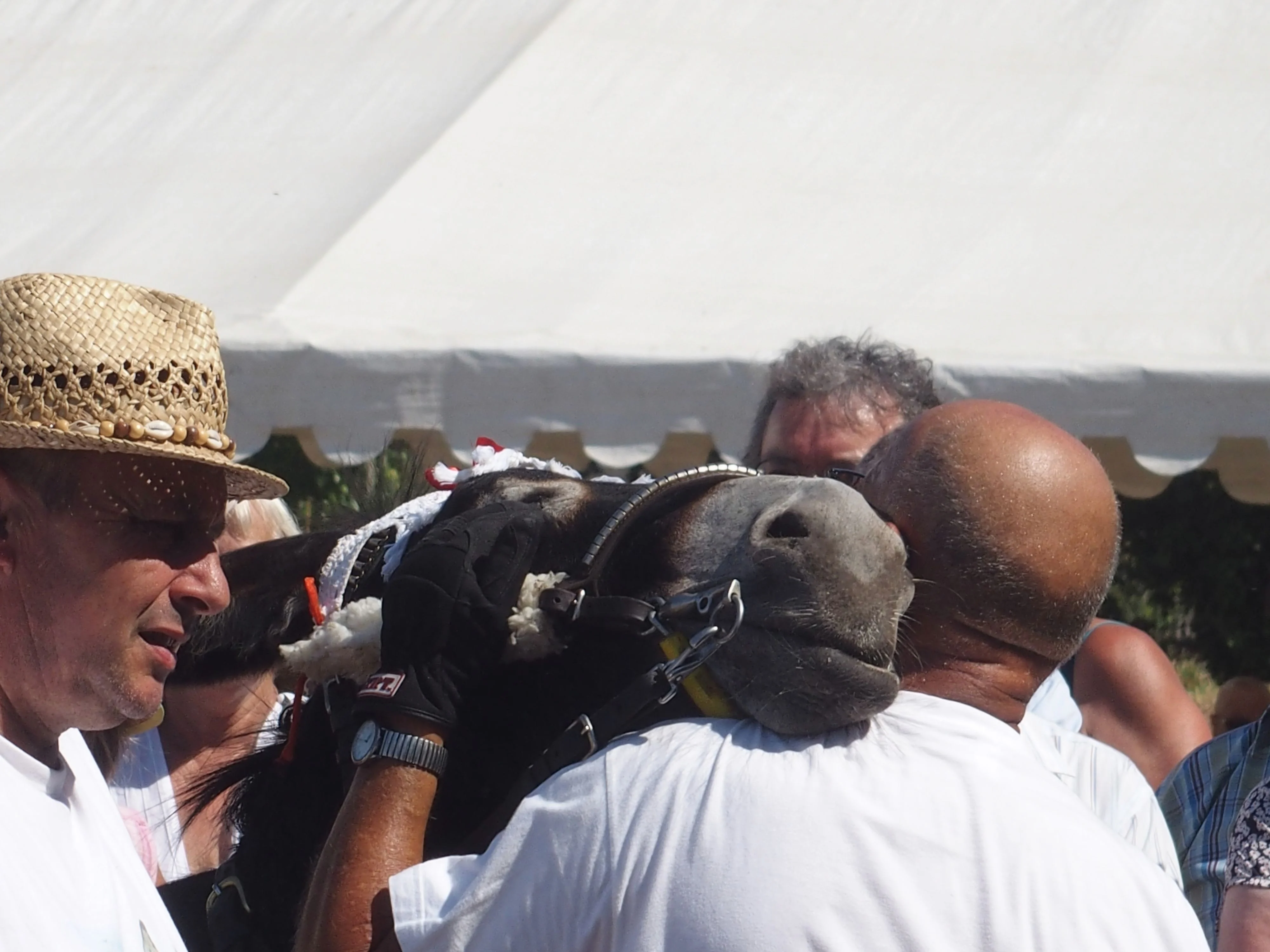 Baden fete des battages 2018 94 