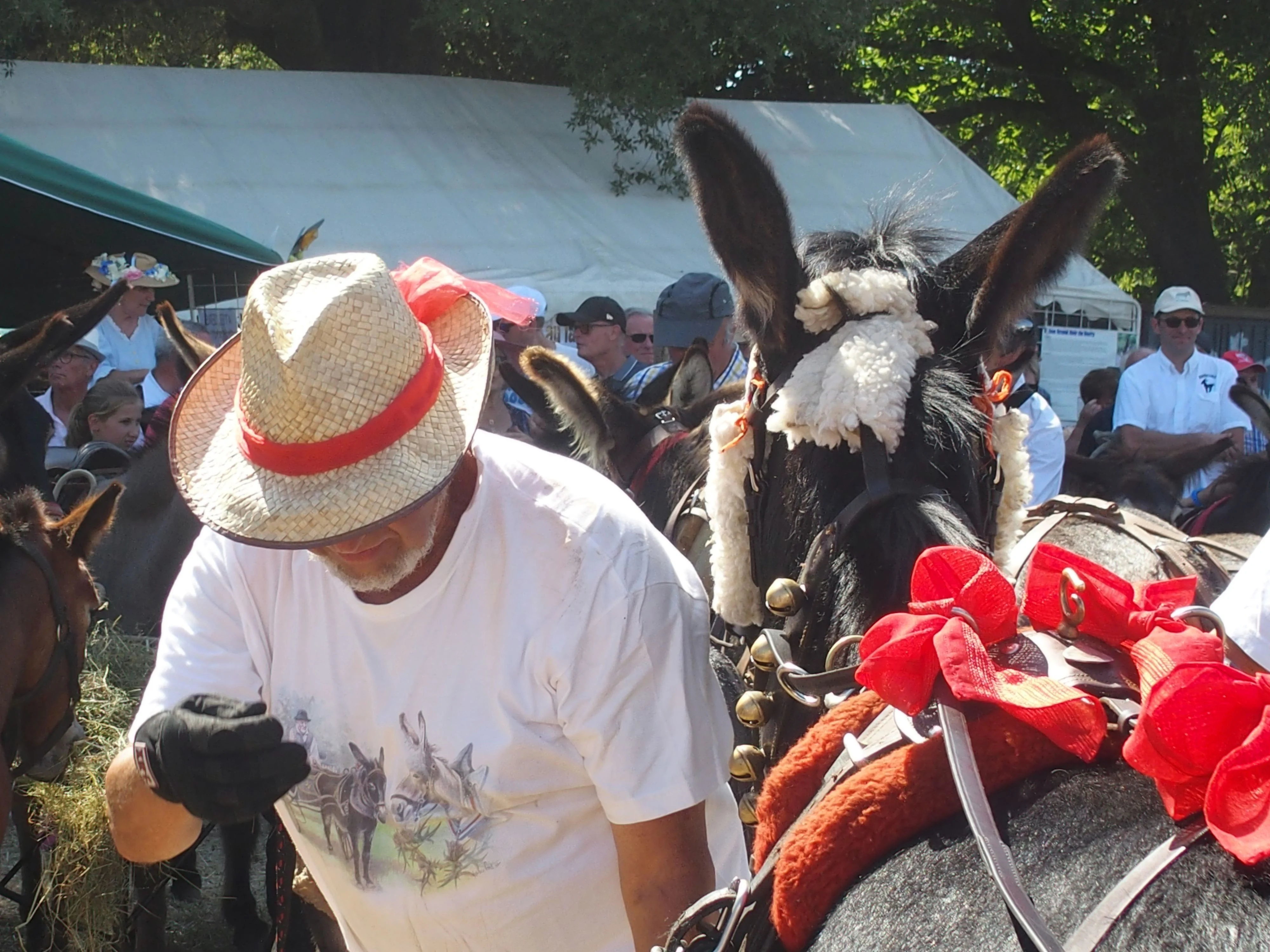 Baden fete des battages 2018 96 