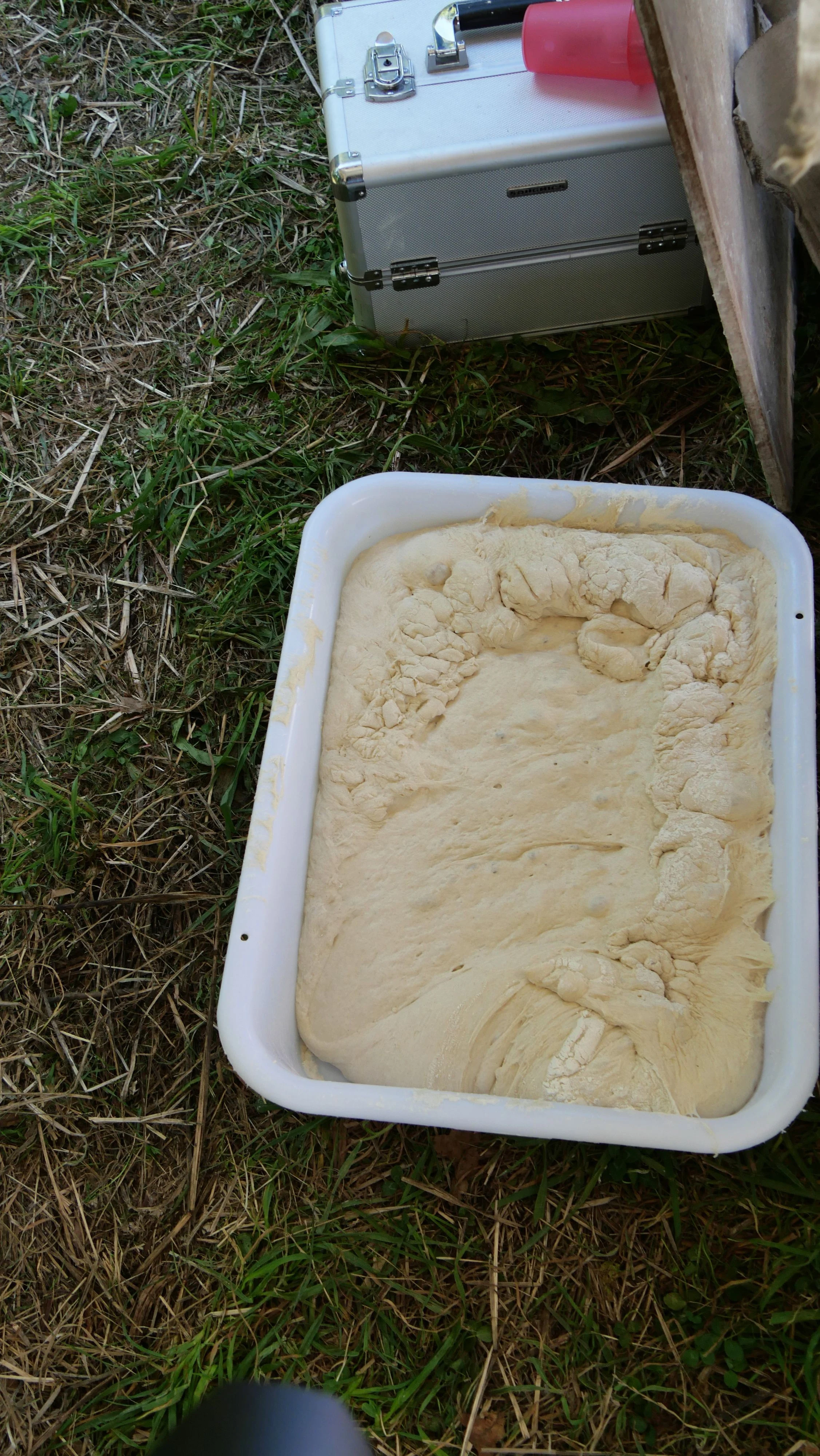 P1087447