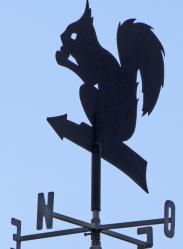 01 girouette