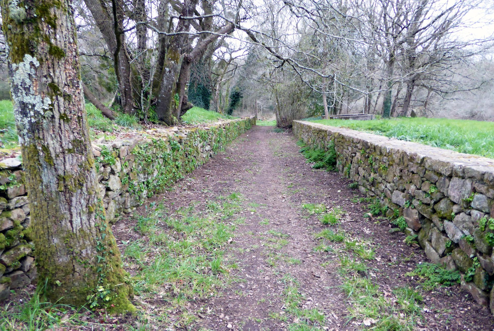 Chemins de balade 1