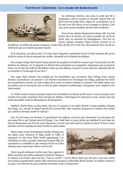 Le canard de kergonano 1