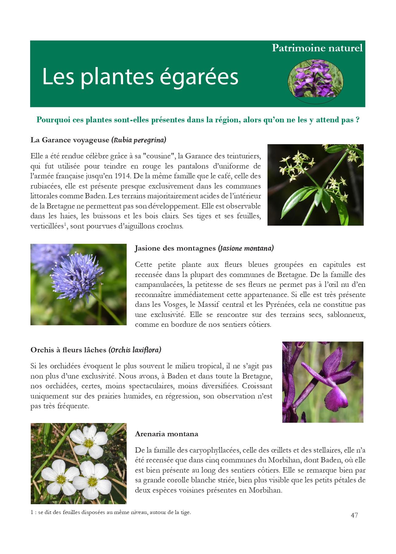 Les plantes egarees page 1