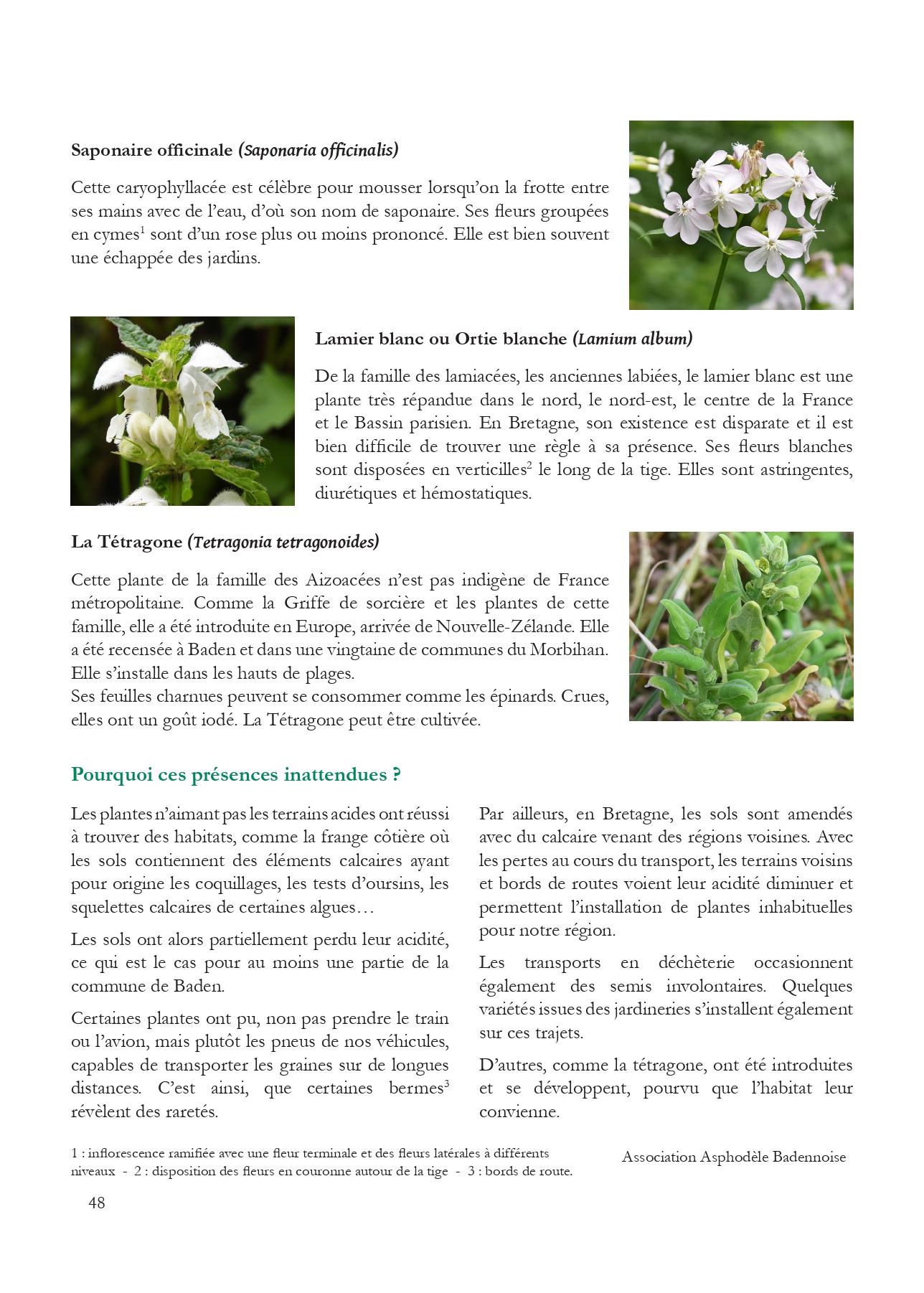 Les plantes egarees page 2