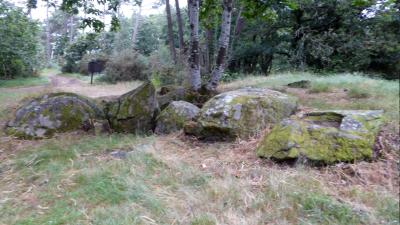 Toulvern 8